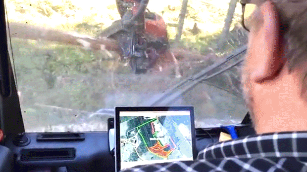 ALLI / forestry interface