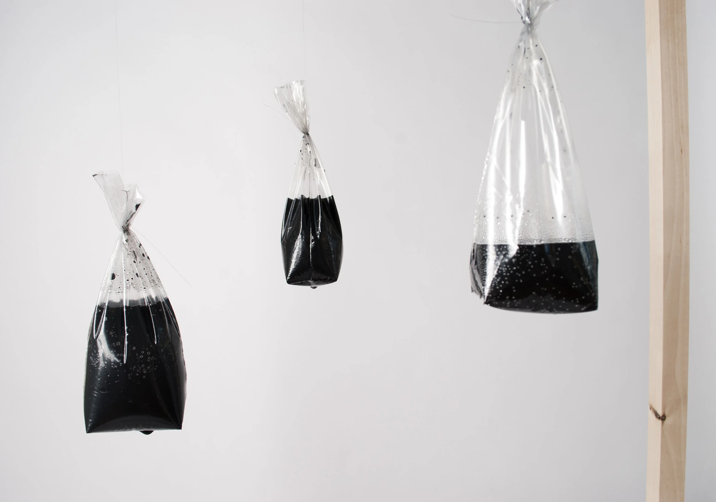 DSC_0450 as Smart Object-1.jpg