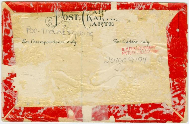 Divided back of Thanksgiving greetings postcard
