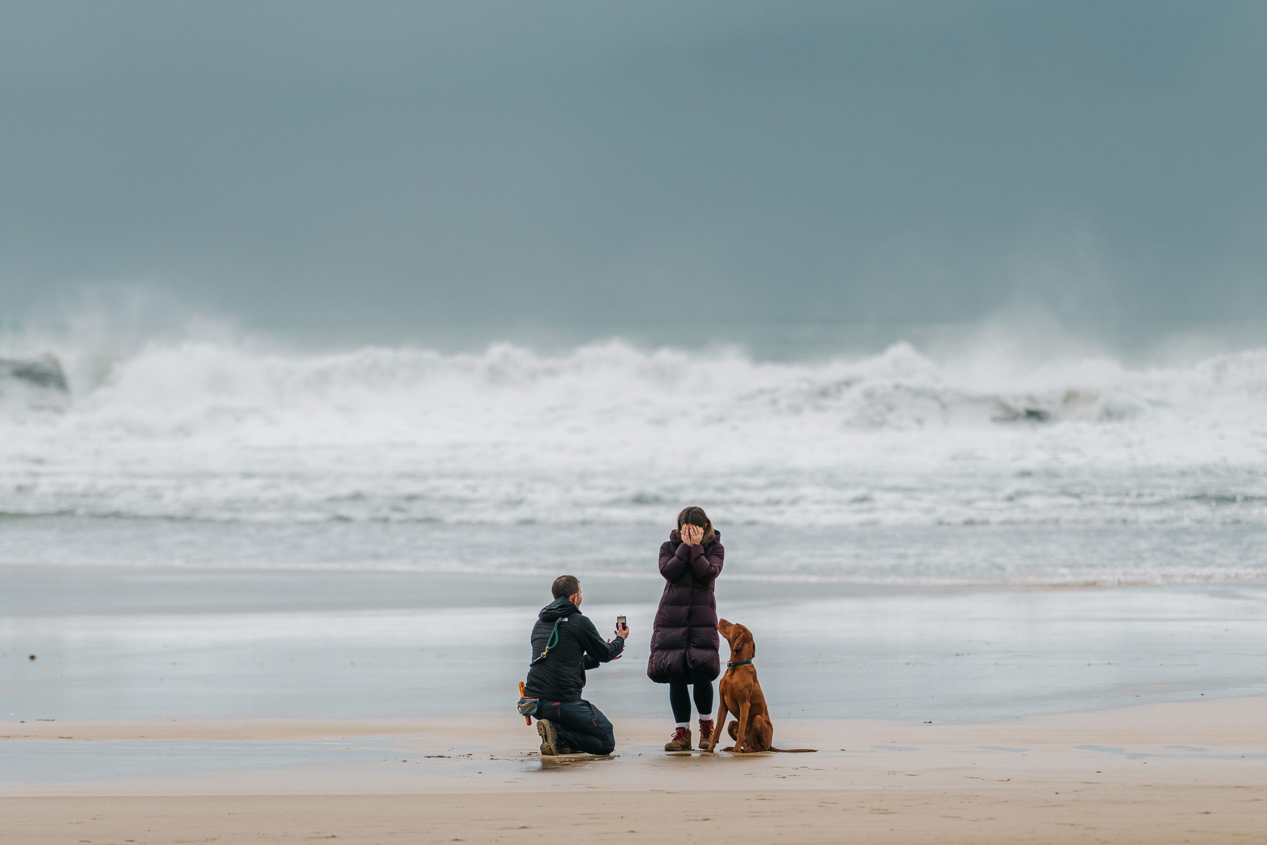 Engagement Proposal With Dog, Cornwall