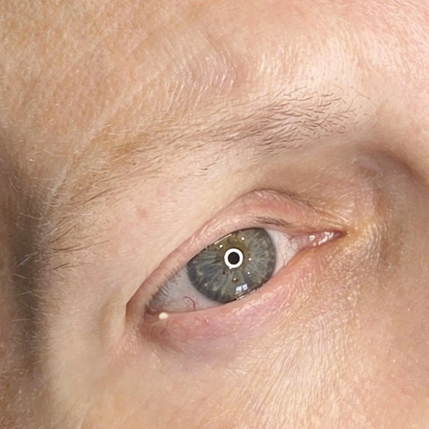 Before hairstroke brows ▶️ keep going.. 

Straight after hairstroke brows ▶️ swipe once more for an explanation of this process. 

Healed for eight weeks before the touch-up.

I just wanted to show you how soft and blended these hairstrokes look once