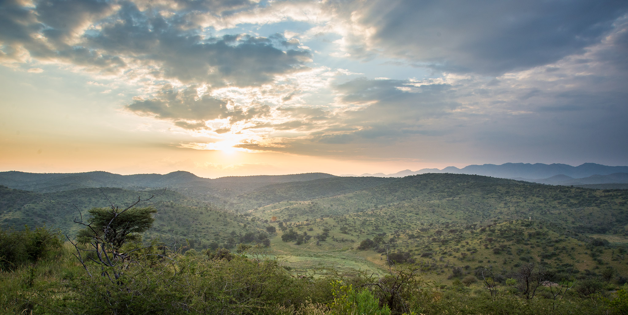 Given the wet season some areas were greener than usual, a welcome back drop to a city in such surreal surroundings
