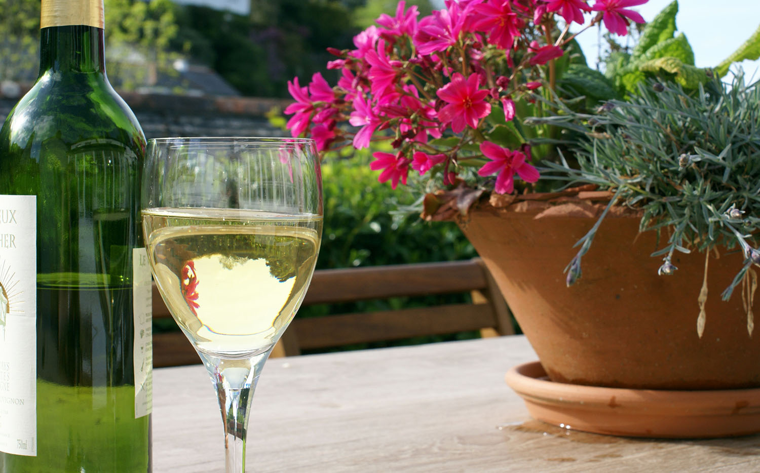 savor a glass of wine on the terrace