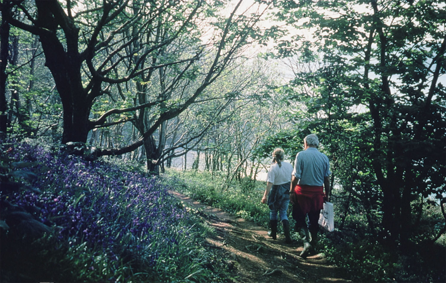 enjoy one of the many beautiful walks