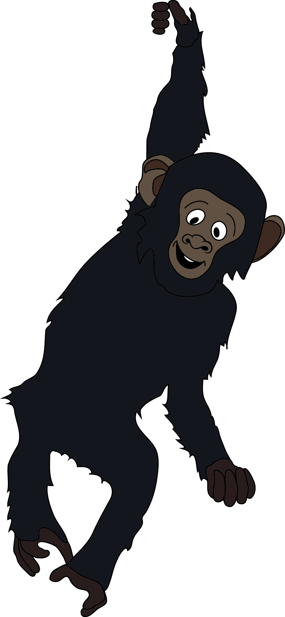 Monkey.png
