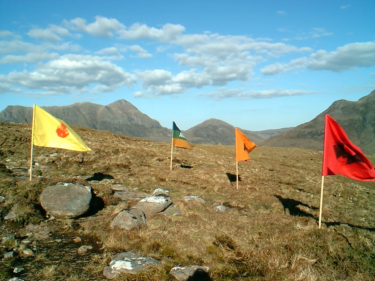 Alternative National Flags - 2002