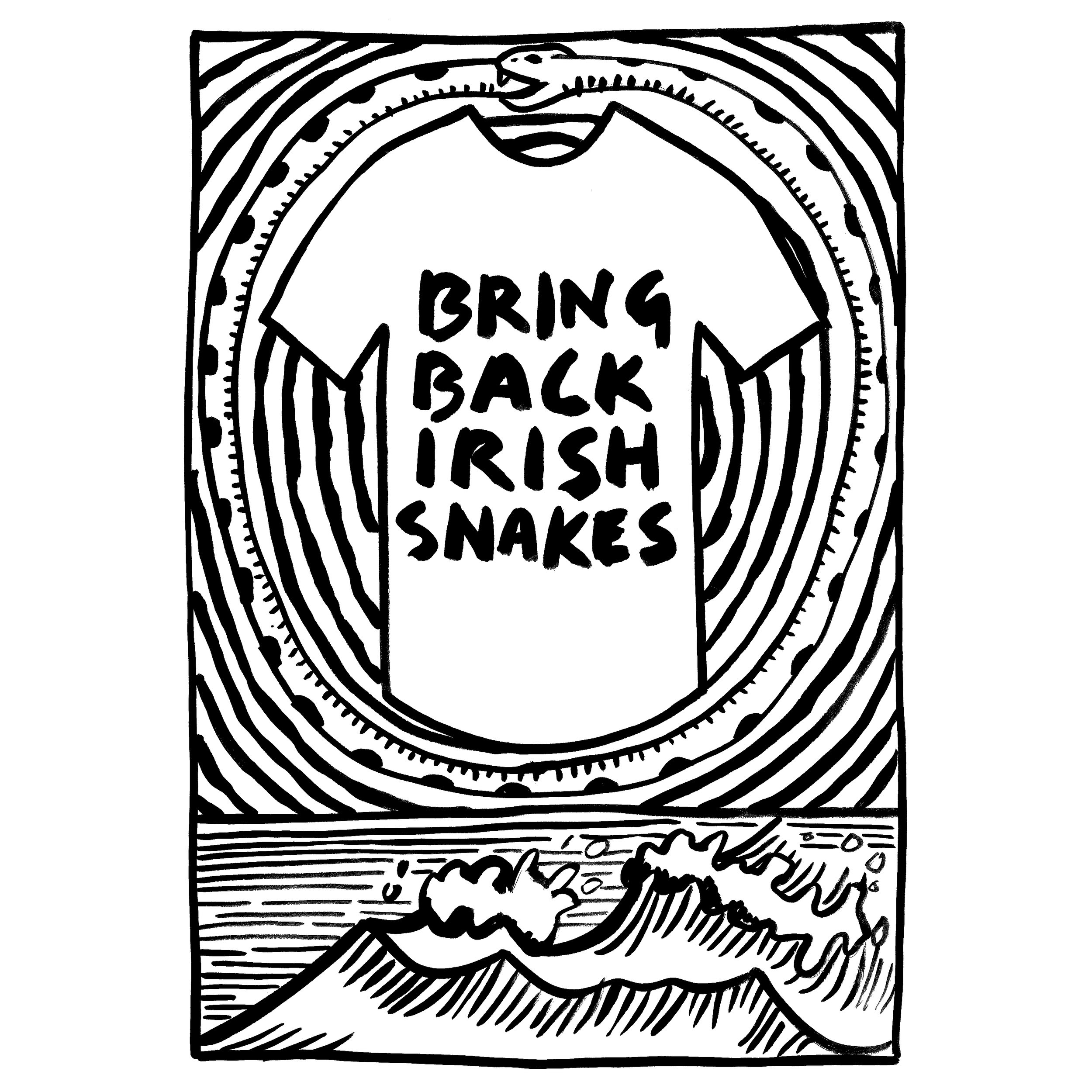 Bring Back Irish Snakes.jpg