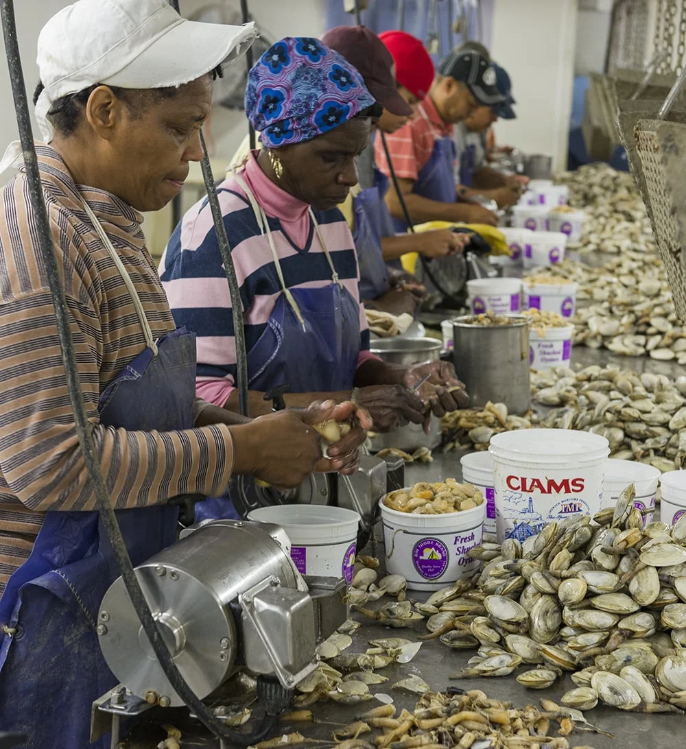 Clams — Harris Seafood