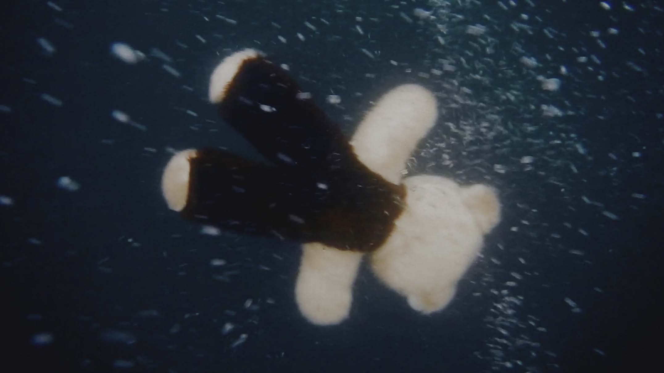 Sea of Sorrow - Sea of Hope