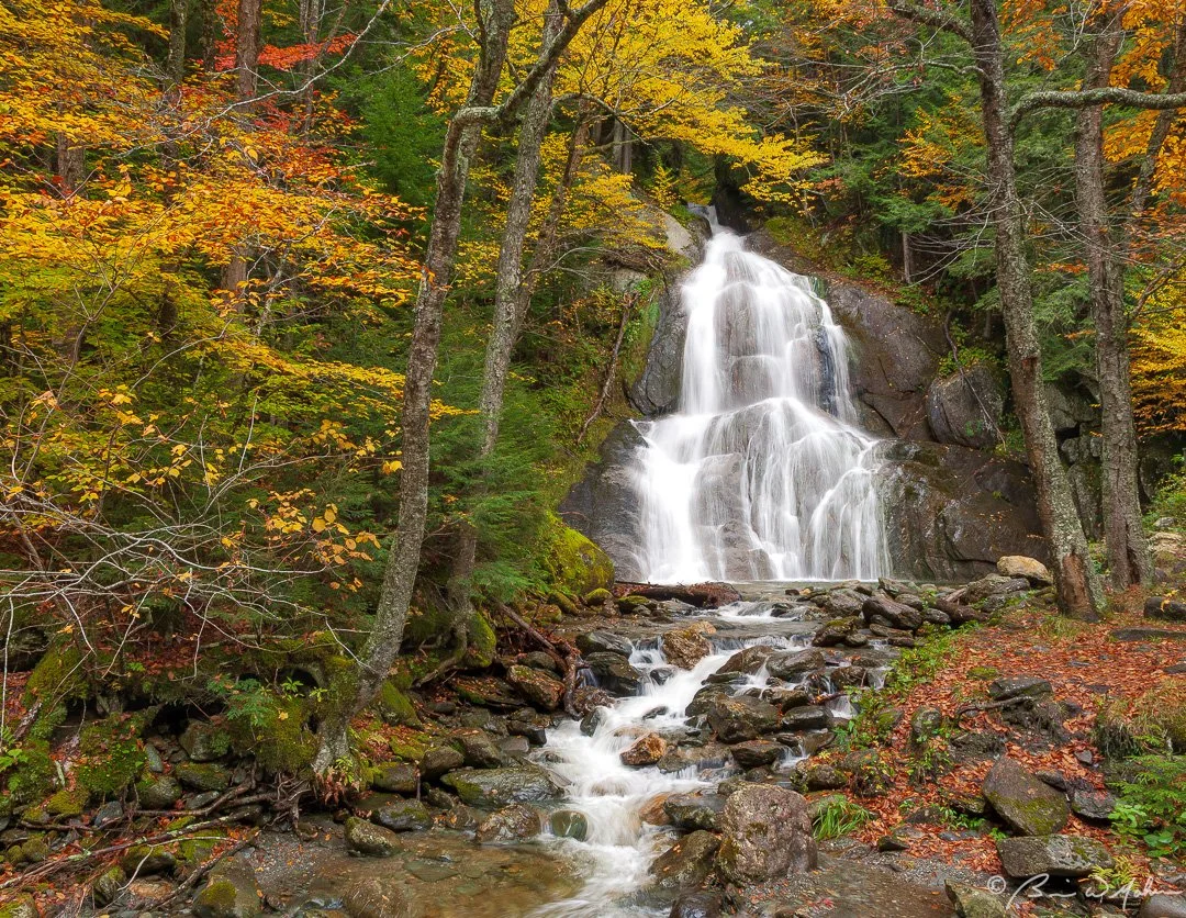 New_Fall_edits-2.jpg