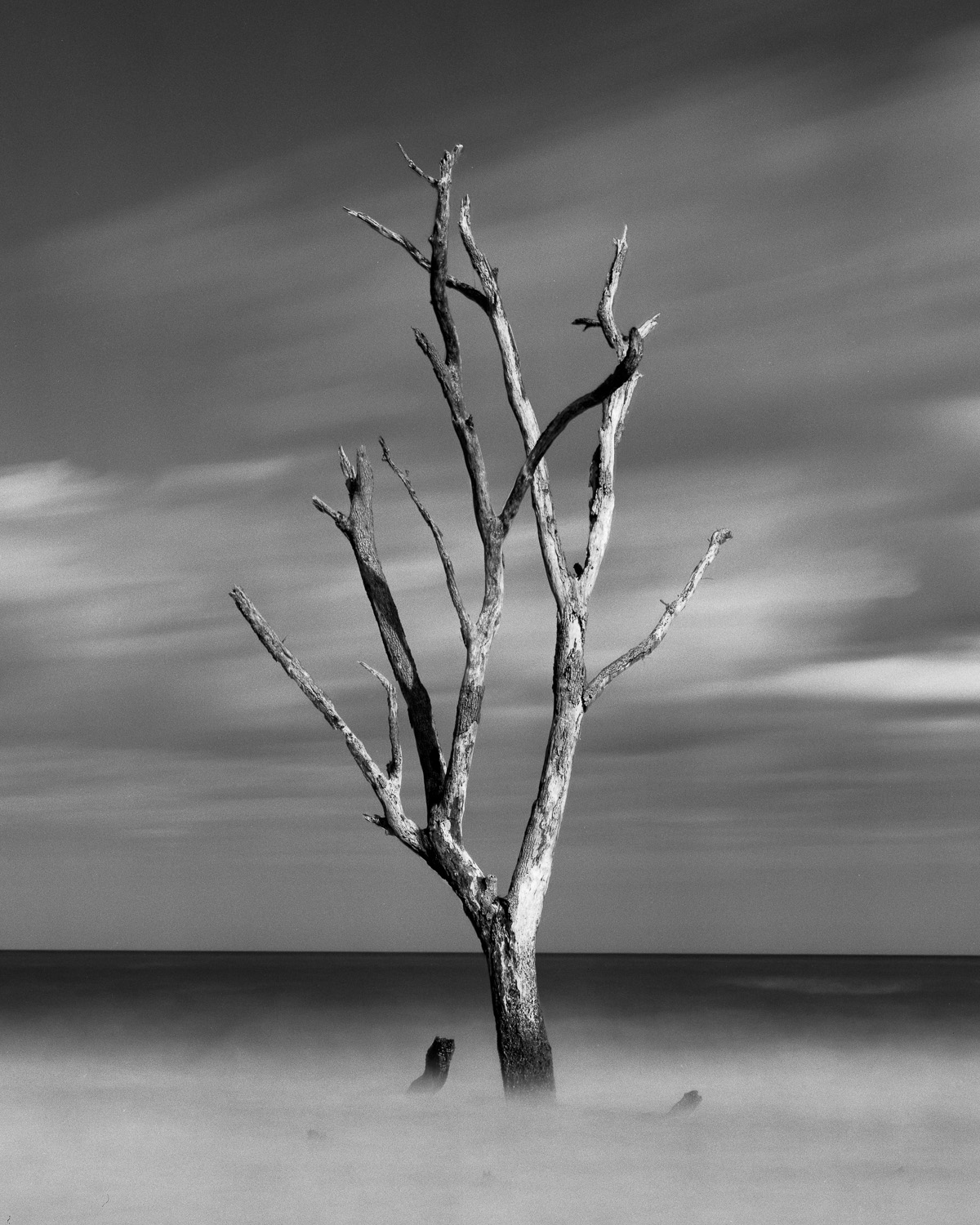 hunting-001.jpg