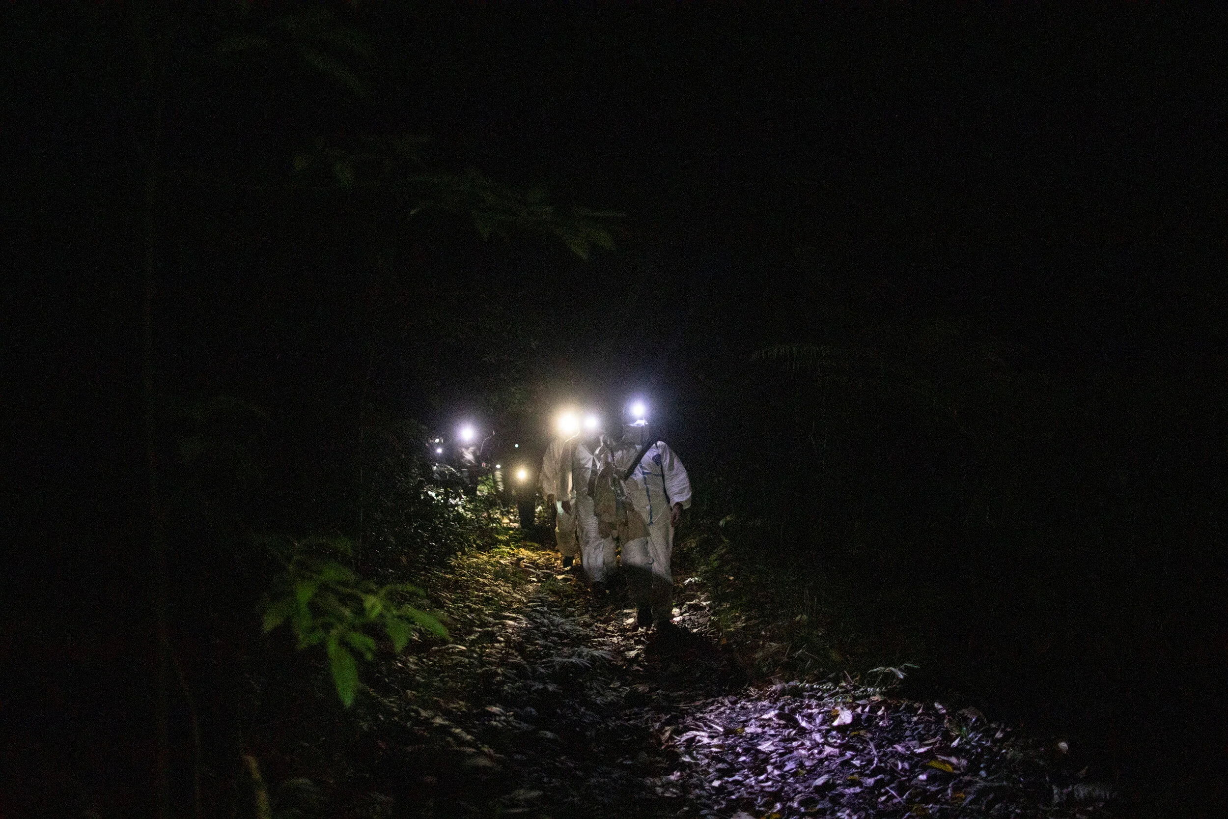 2021-03-22T230047Z_510819164_RC2NGM997L9P_RTRMADP_3_HEALTH-CORONAVIRUS-PHILIPPINES-BATS.JPG