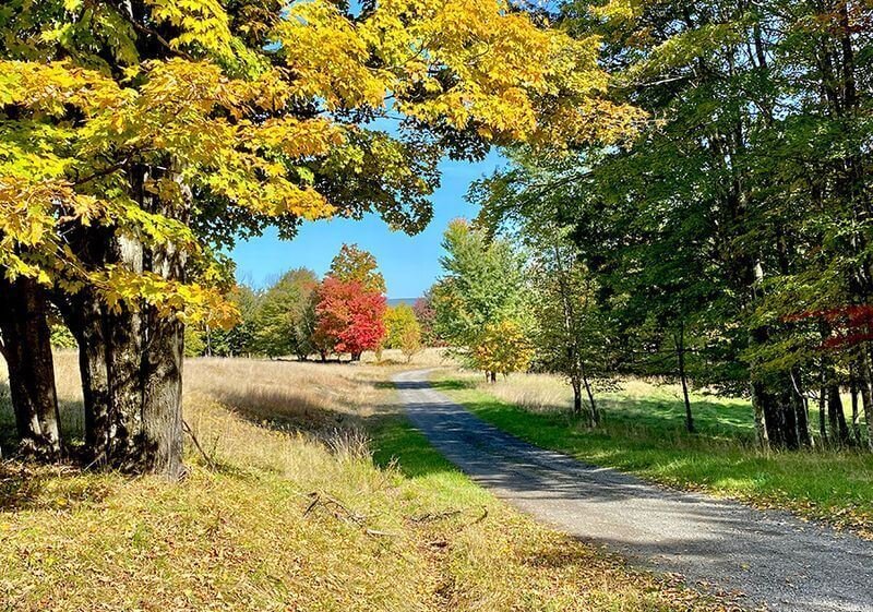 Copy-of-Fall-Driveway.jpeg