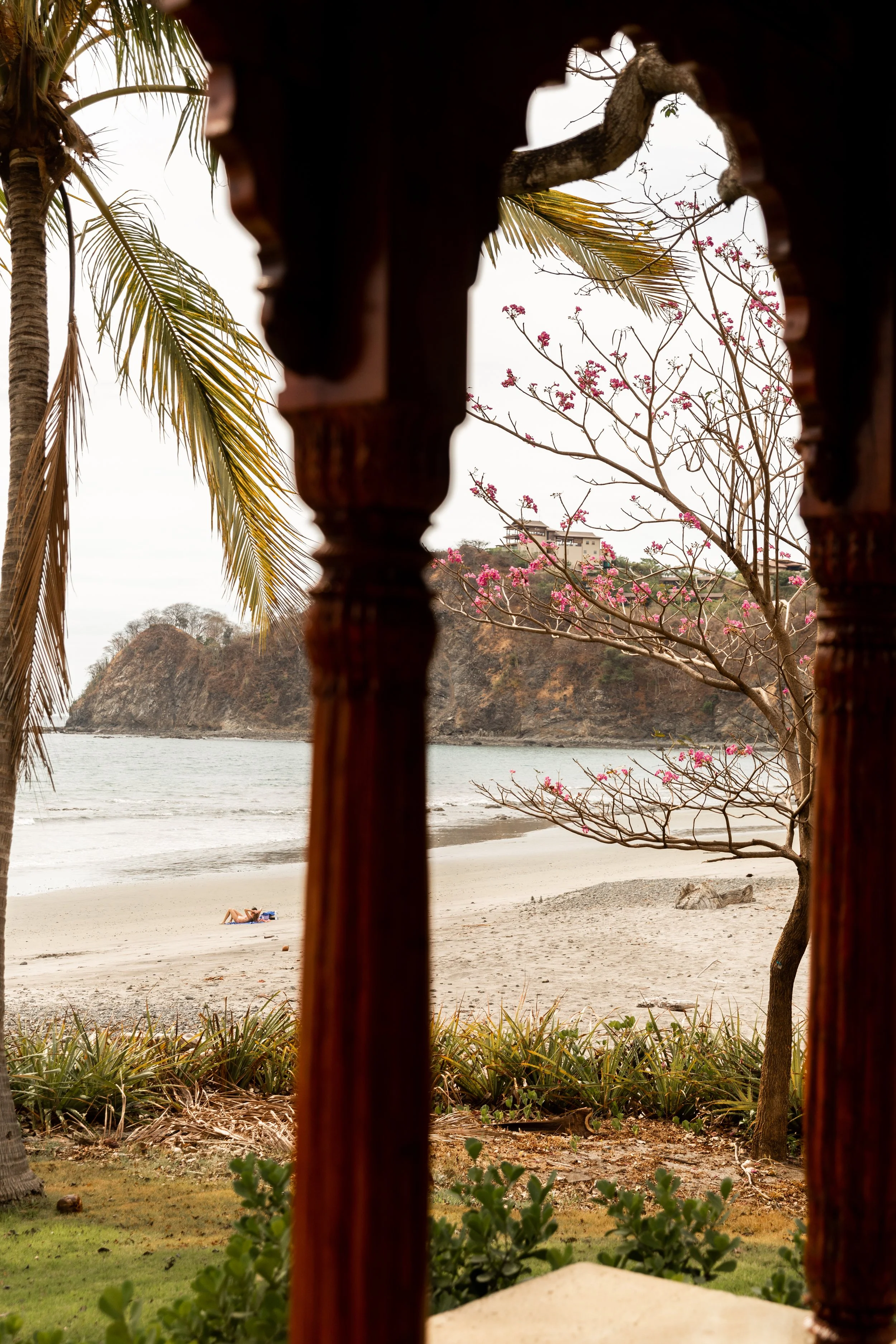 Reunion Grounds 1.jpeg