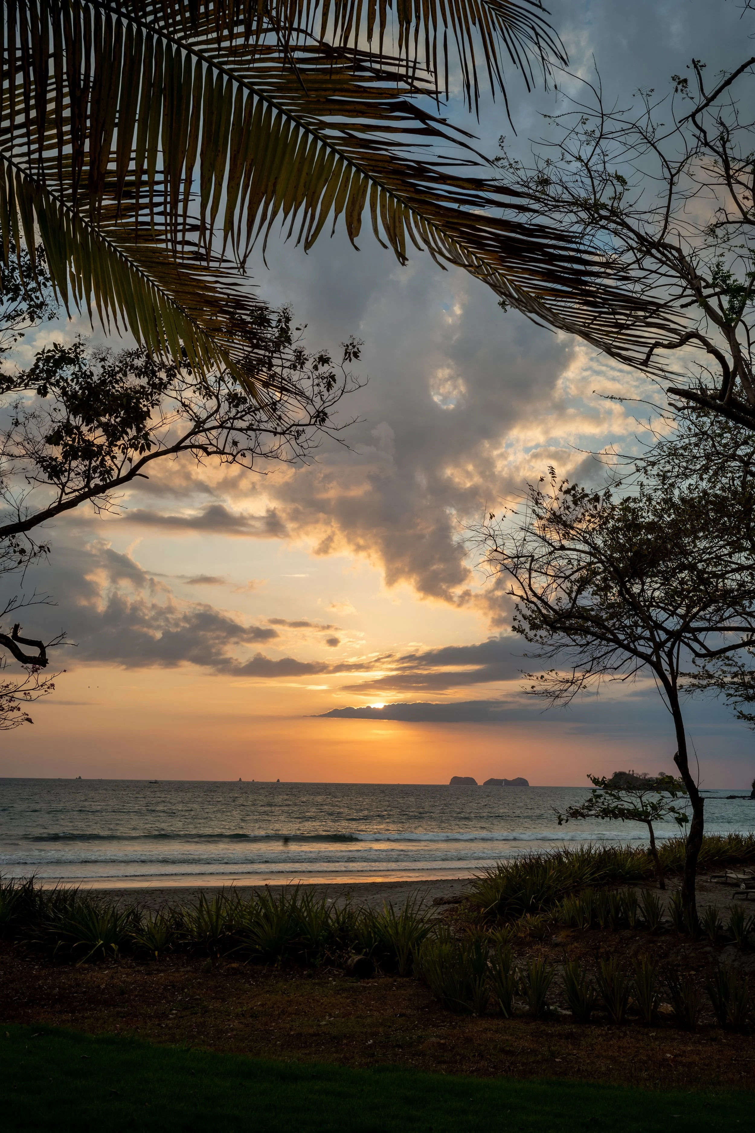 Reunion Grounds 3.jpeg