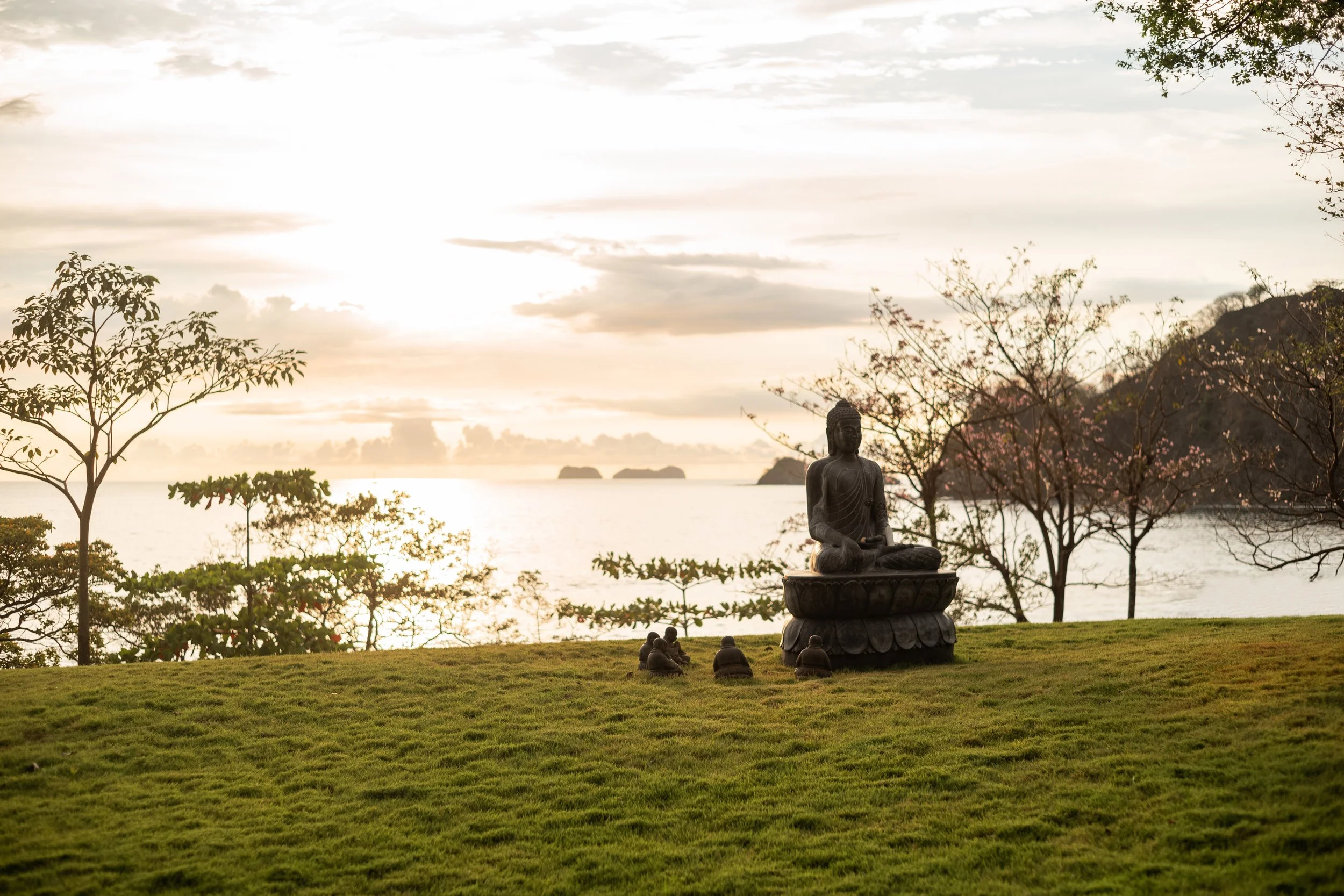 Reunion Grounds 4.jpeg