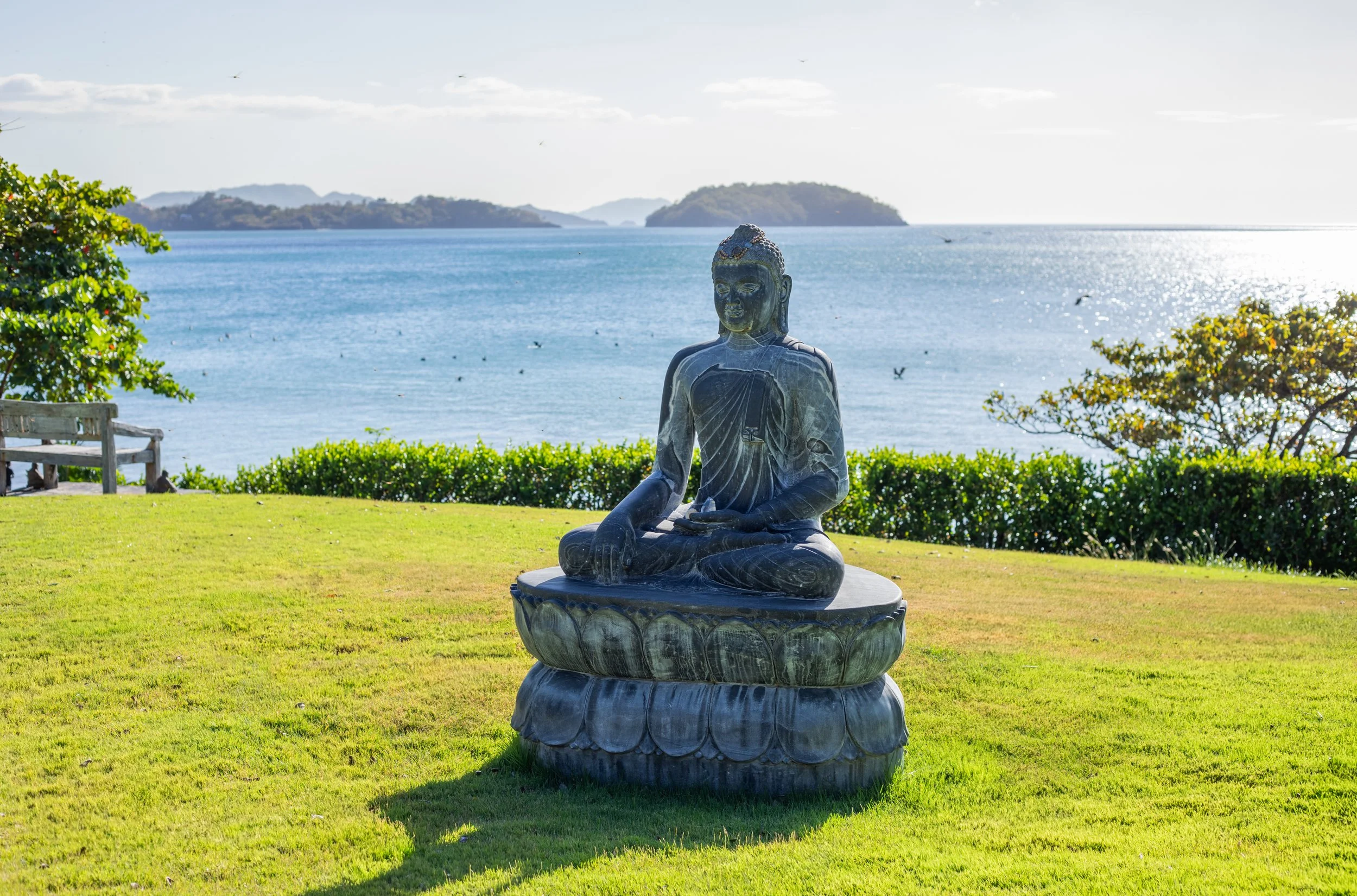 Reunion Grounds 8.jpg