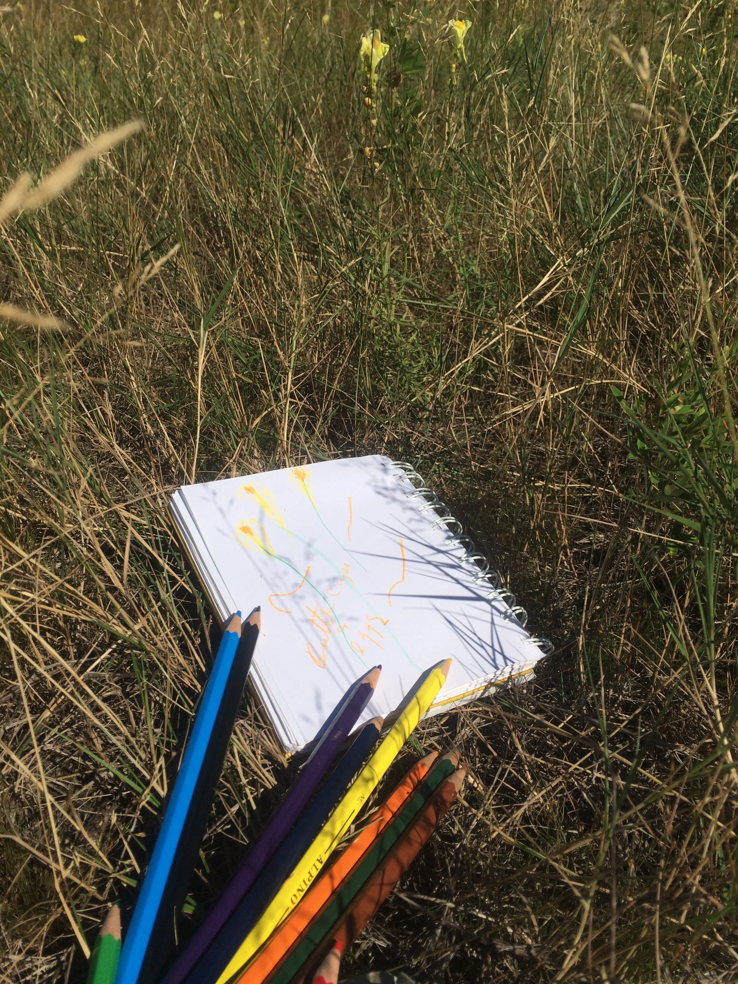 sketch pad in the grass.JPG
