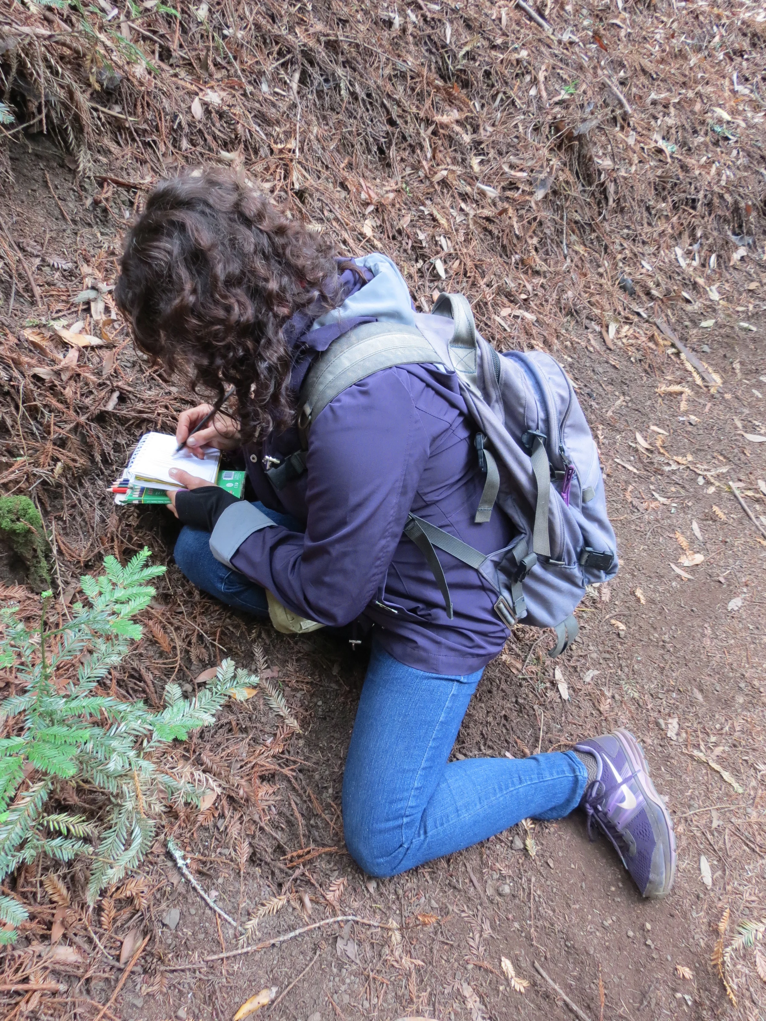 sketching on the redwood floor.JPG