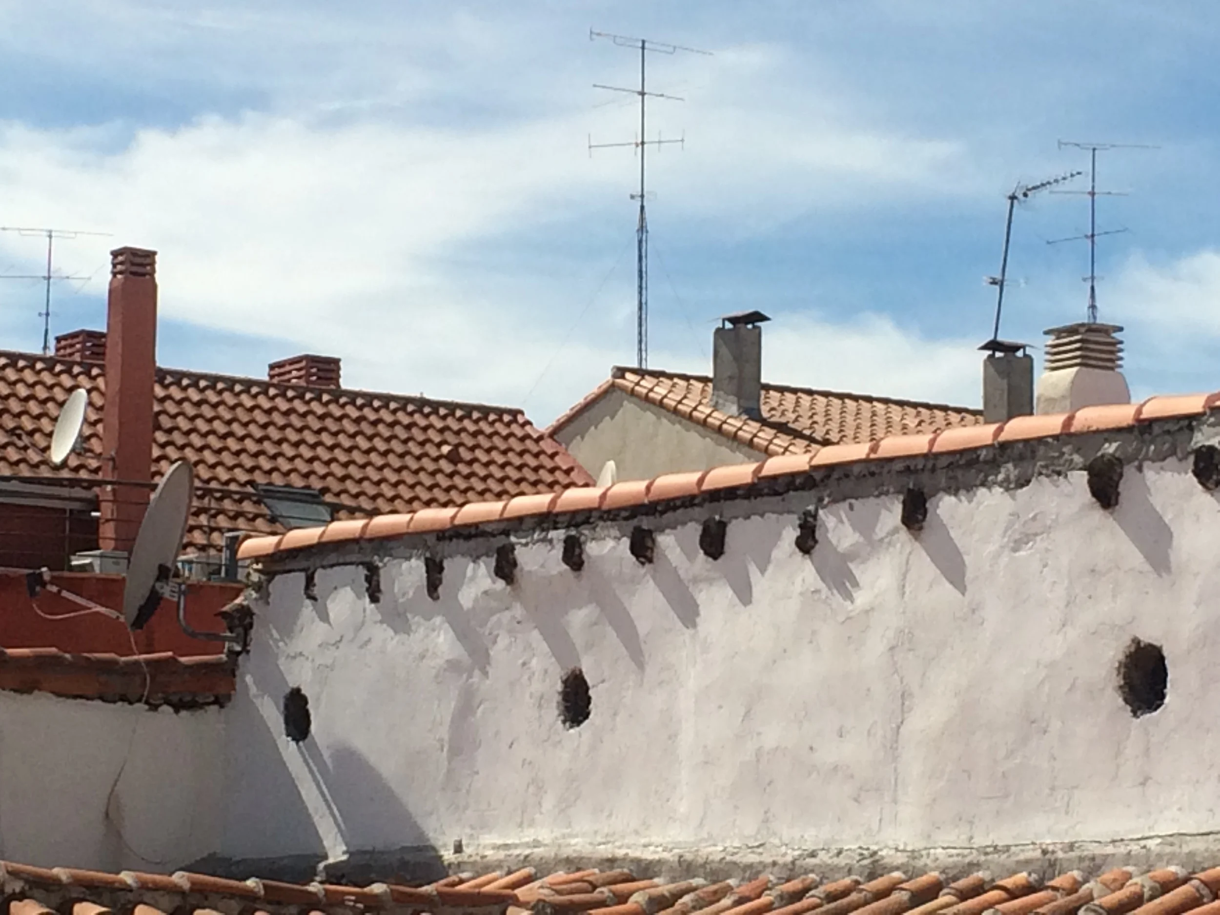 Madrid roof tile 4.JPG