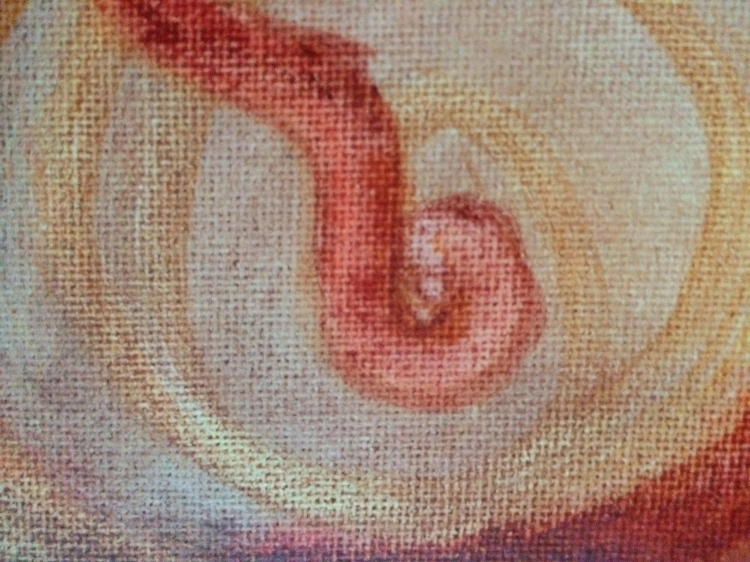 root cause close up 1.jpg