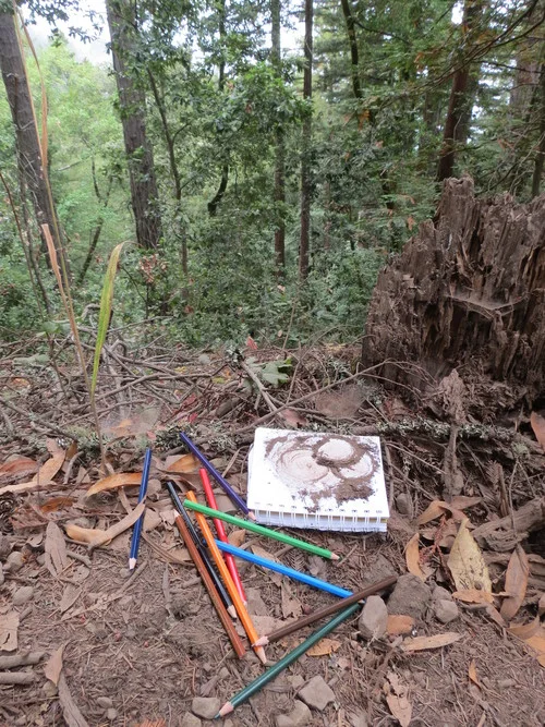 Forest Flaneur Sketch pad