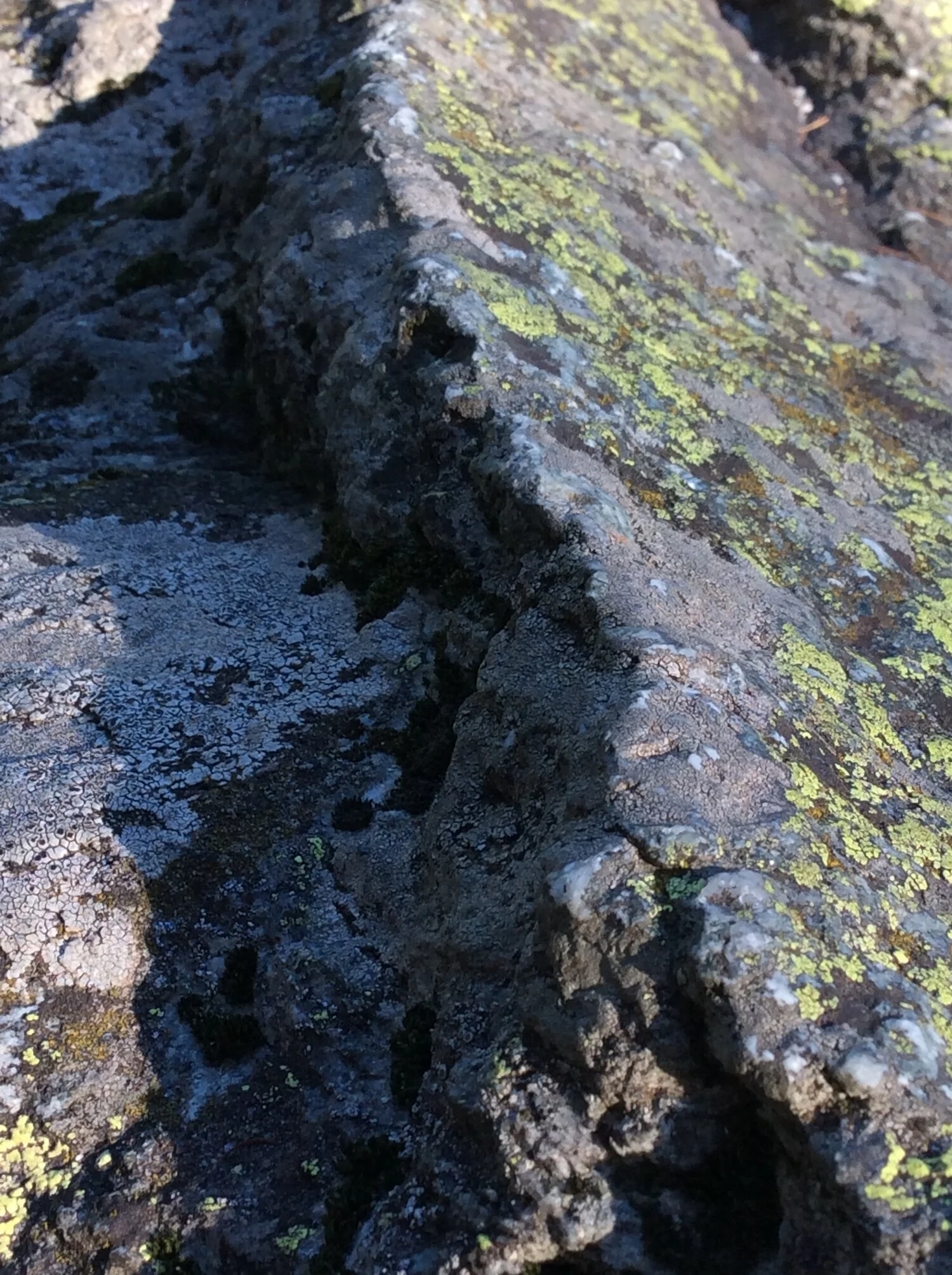 75480024-D3E2-4239-ACAC-CE263BF77E10.jpeg