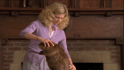 HS_BeaverClip_AdobeExpress (1).gif