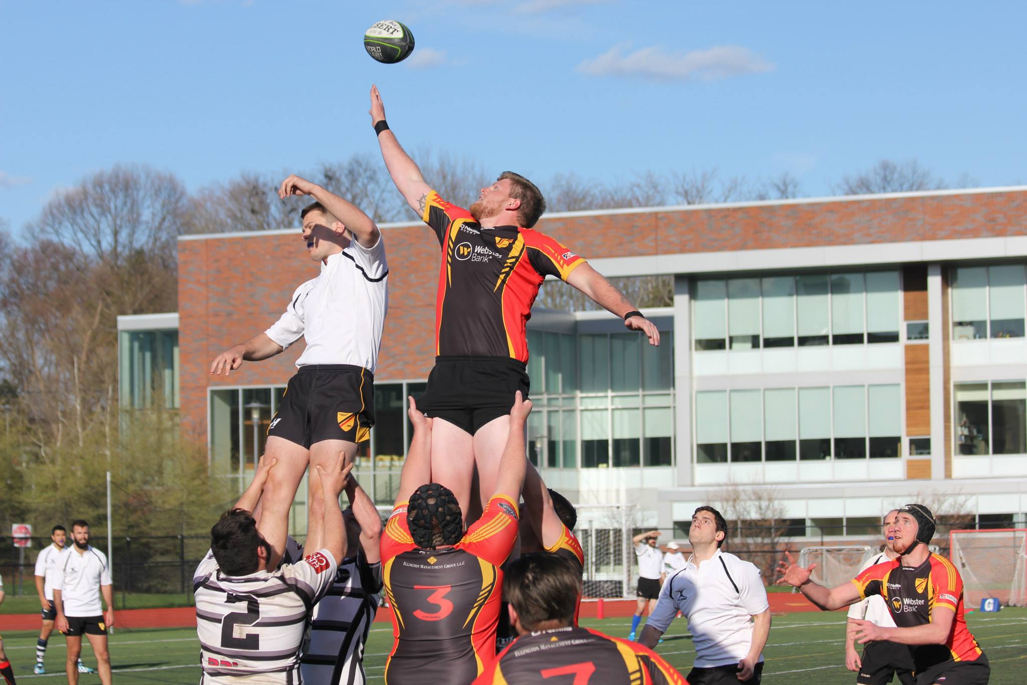 lineout.jpg