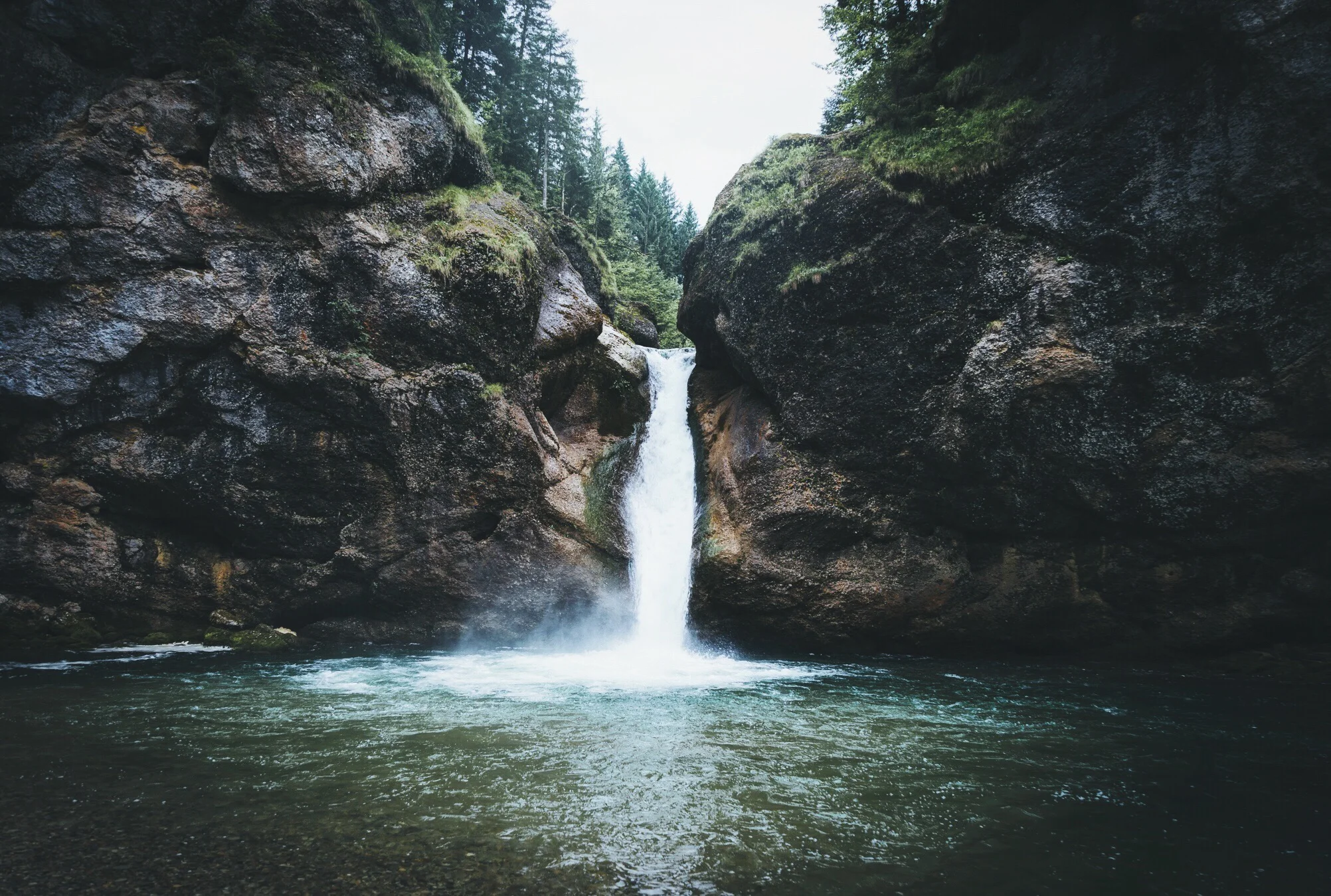 moners buchenegger.jpeg