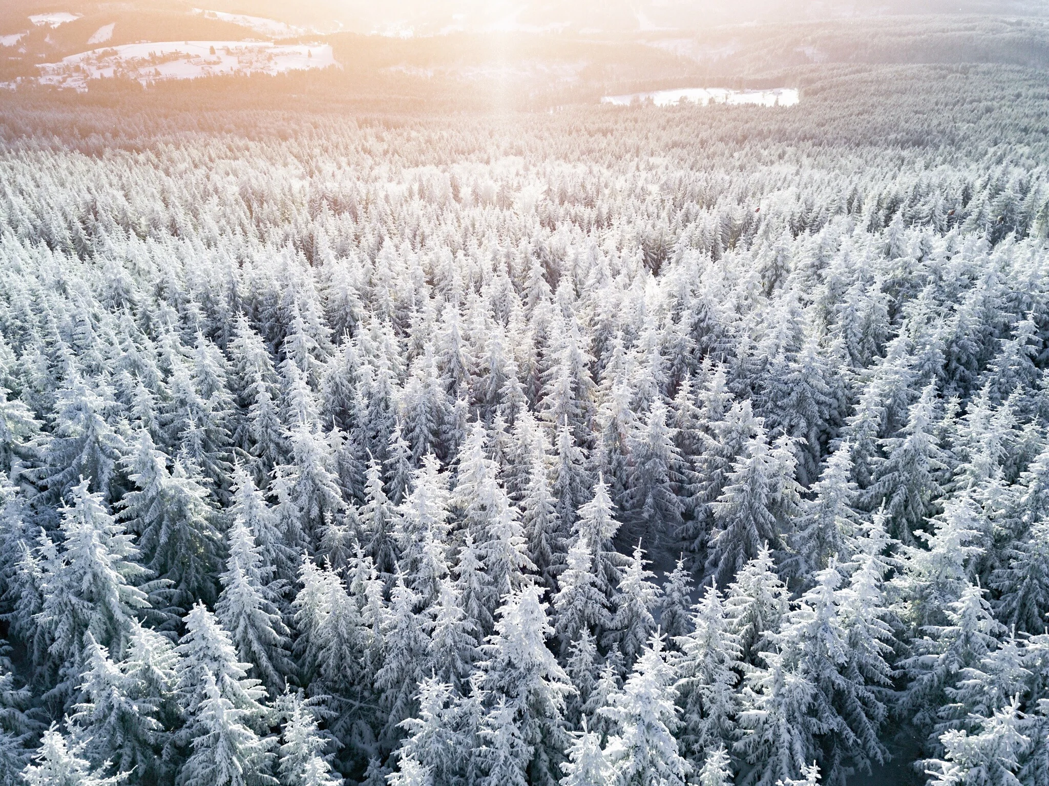 moners ochsenkopf fichtelgebirge.jpeg