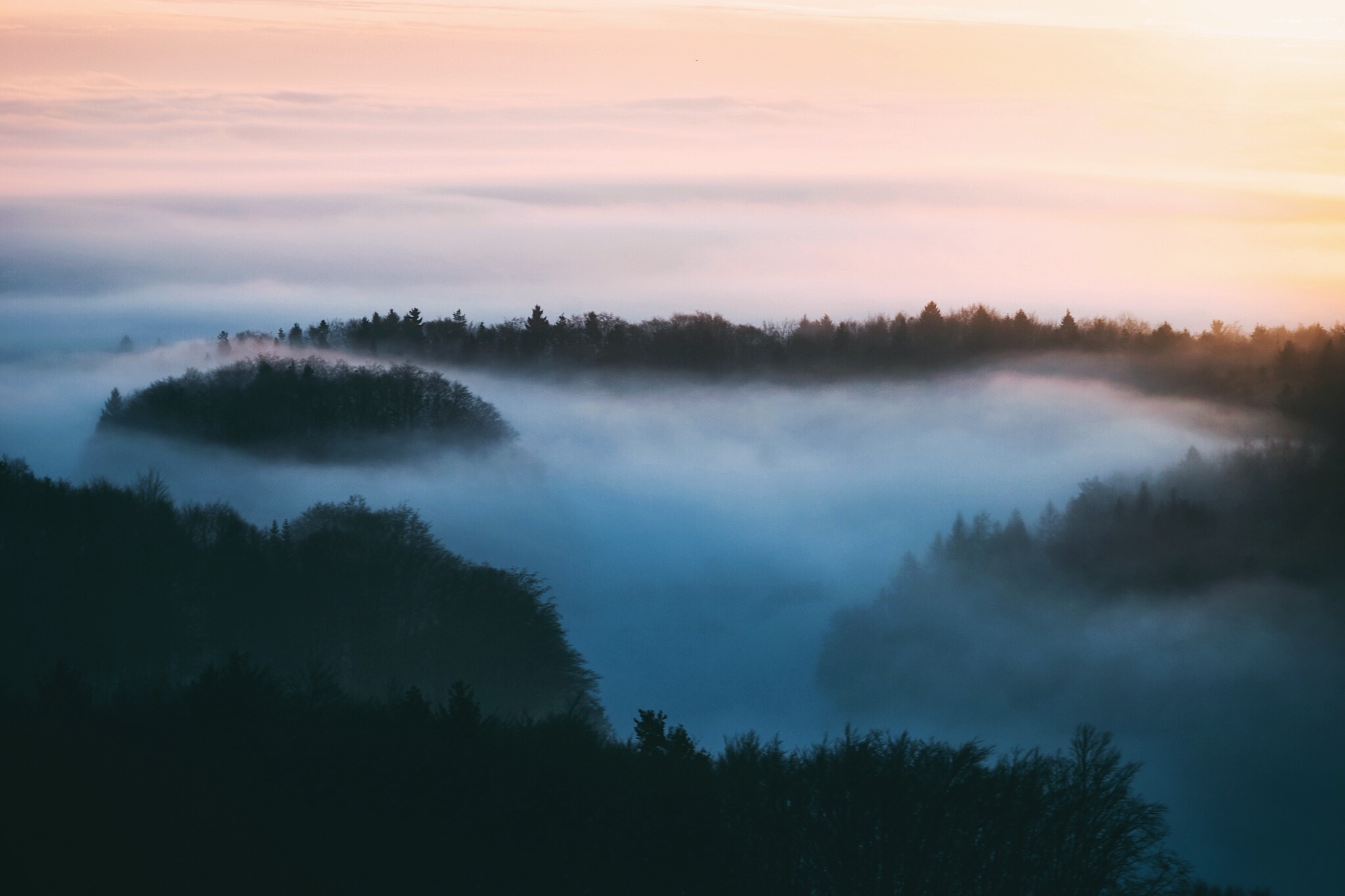 Hohenstein sun fog tree.jpeg