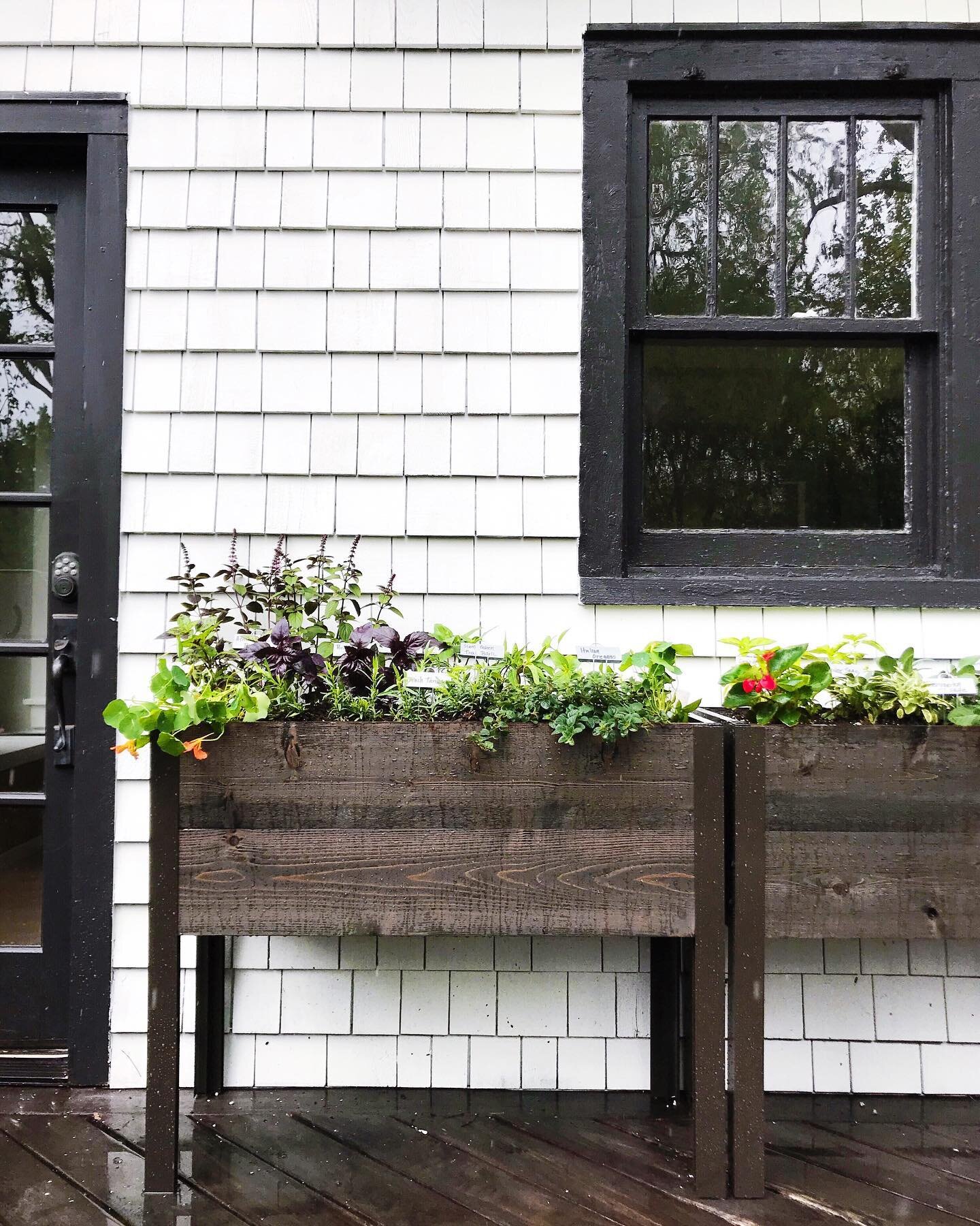 Planning your spring garden? (I think we all are!) Considering containers? Here are some of my favorite container garden projects I designed in Chicago and Nashville using wonderful products for every budget from @gardeners @glowpearco + @earthbox Sc