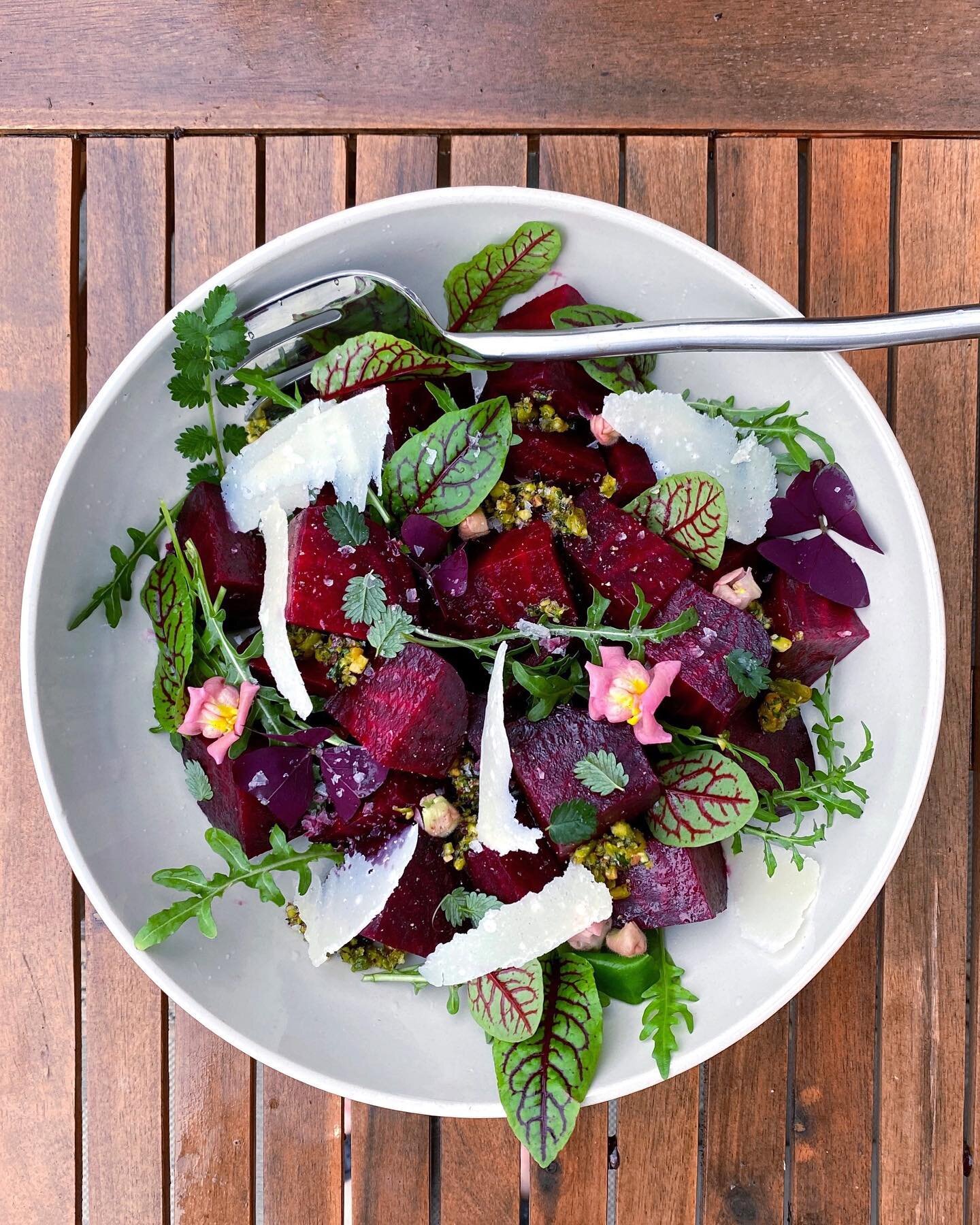 Easy to grow &ldquo;ingredients&rdquo; to transform your boring beet salad into a fancy pants one. ;) Swipe &mdash;&gt;&gt; sylvetta arugula (super pungent, so a little goes a long way), tart red veined sorrel, pink snapdragons, cucumber flavored sal