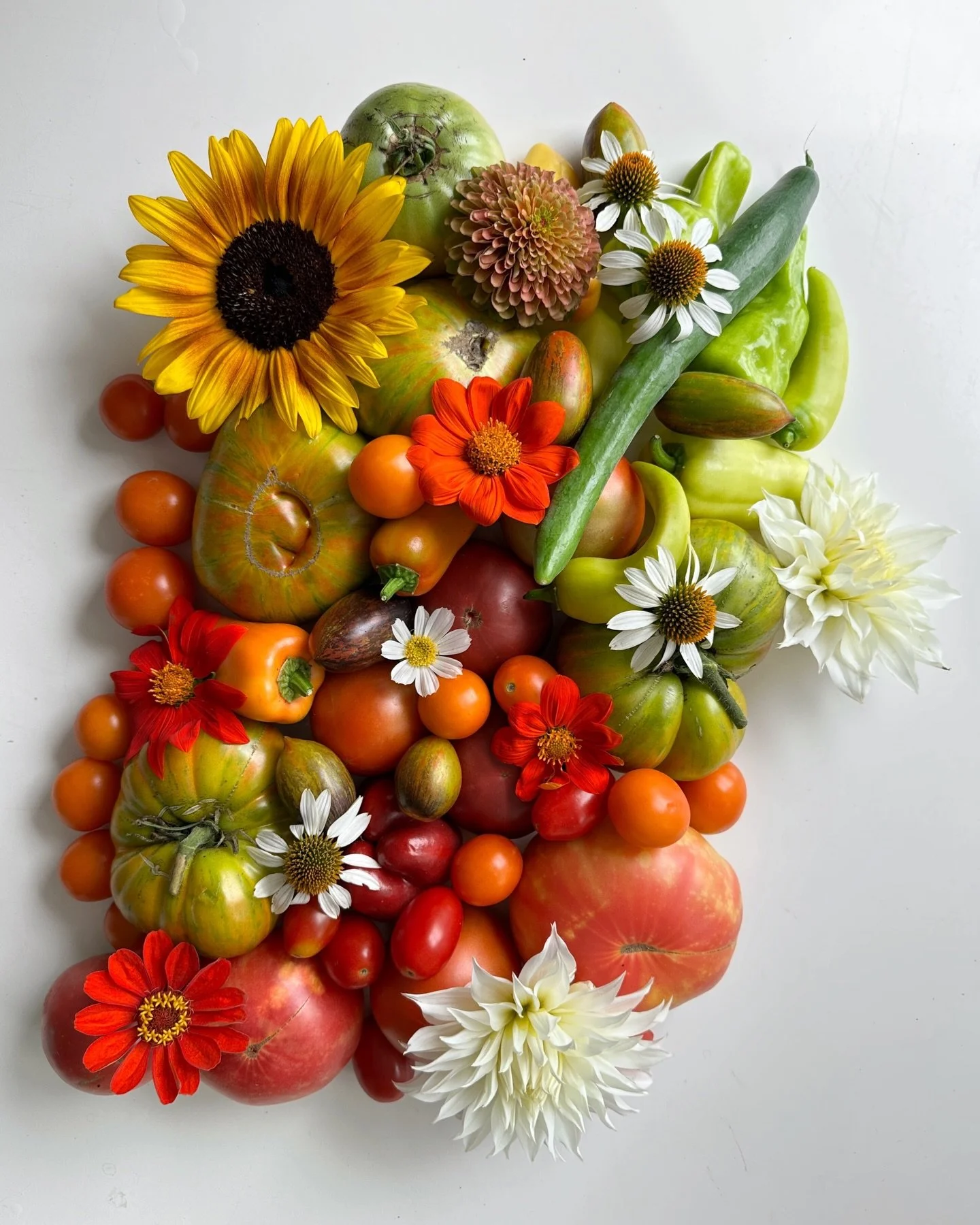 Coming soon to a bed near you✨#culinarygarden #harvest #vegetables #gardeninspiration #vegetablegarden