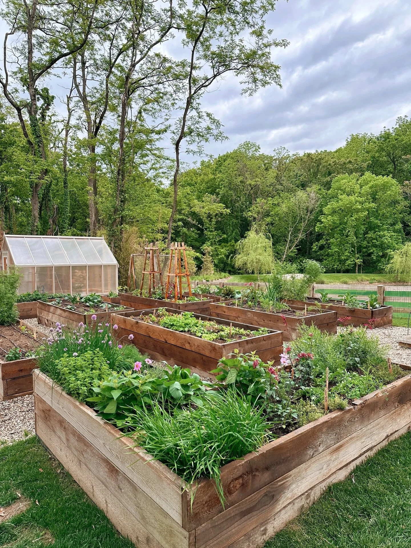 Different angles of the same magical space. ✨ #gardeninspiration #gardendesign #culinarygarden #vegetablegarden #raisedbedgarden