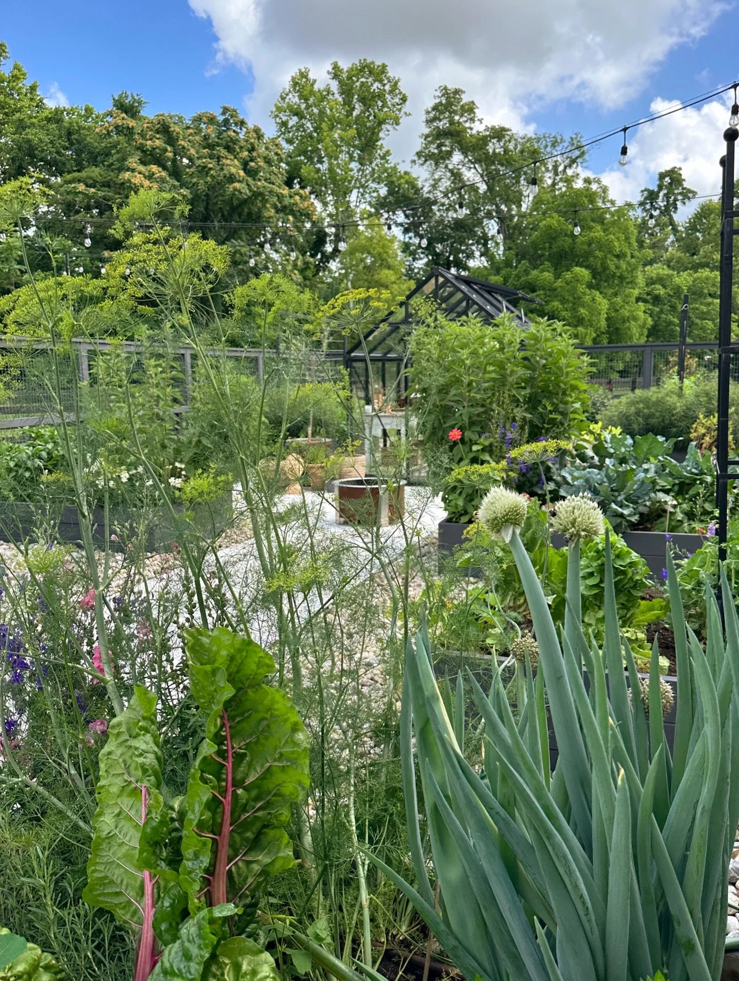 Swipe to see of alllll of the flowers we incorporated into Kelly and Suzie&rsquo;s garden. It is the most magical place, an array of colors and textures&hellip;and beautiful movement on breezy summer days. @homeonanashvillehill @suzstolarz #gardenins
