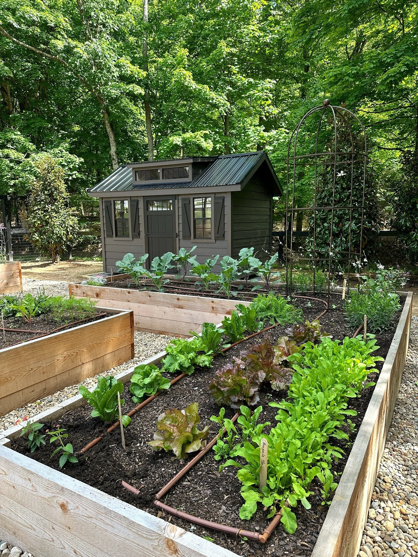 Where my mid January mind is... 🌿#culinarygarden #gardendesign #springgarden #gardeninspiration