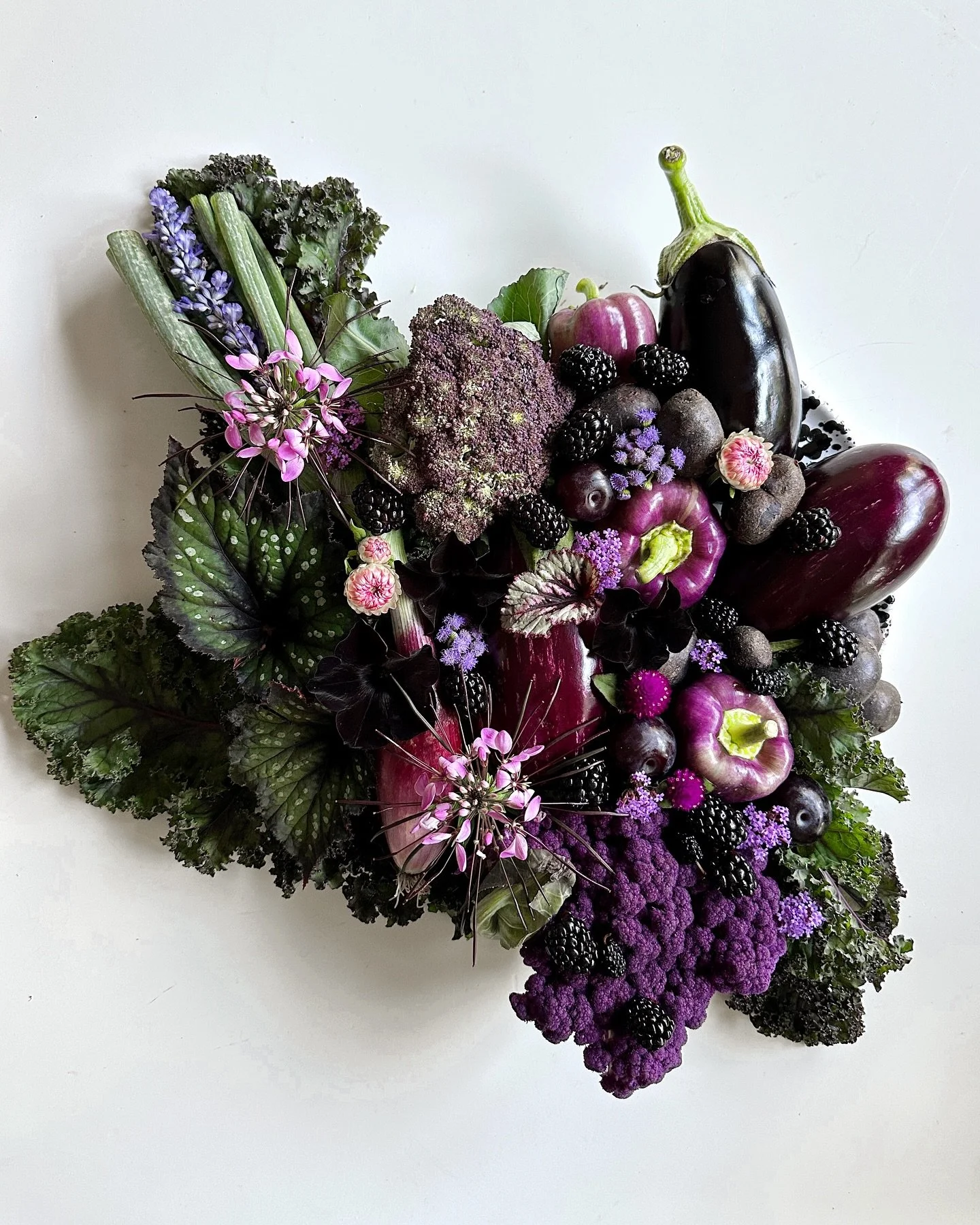 Been a bit quiet on here this summer&hellip; As some of you know, I had heart surgery in early June (robotic mitral valve repair) and it&rsquo;s felt soooo nice to focus on life off of the screen. My recovery since surgery has been nothing short of r