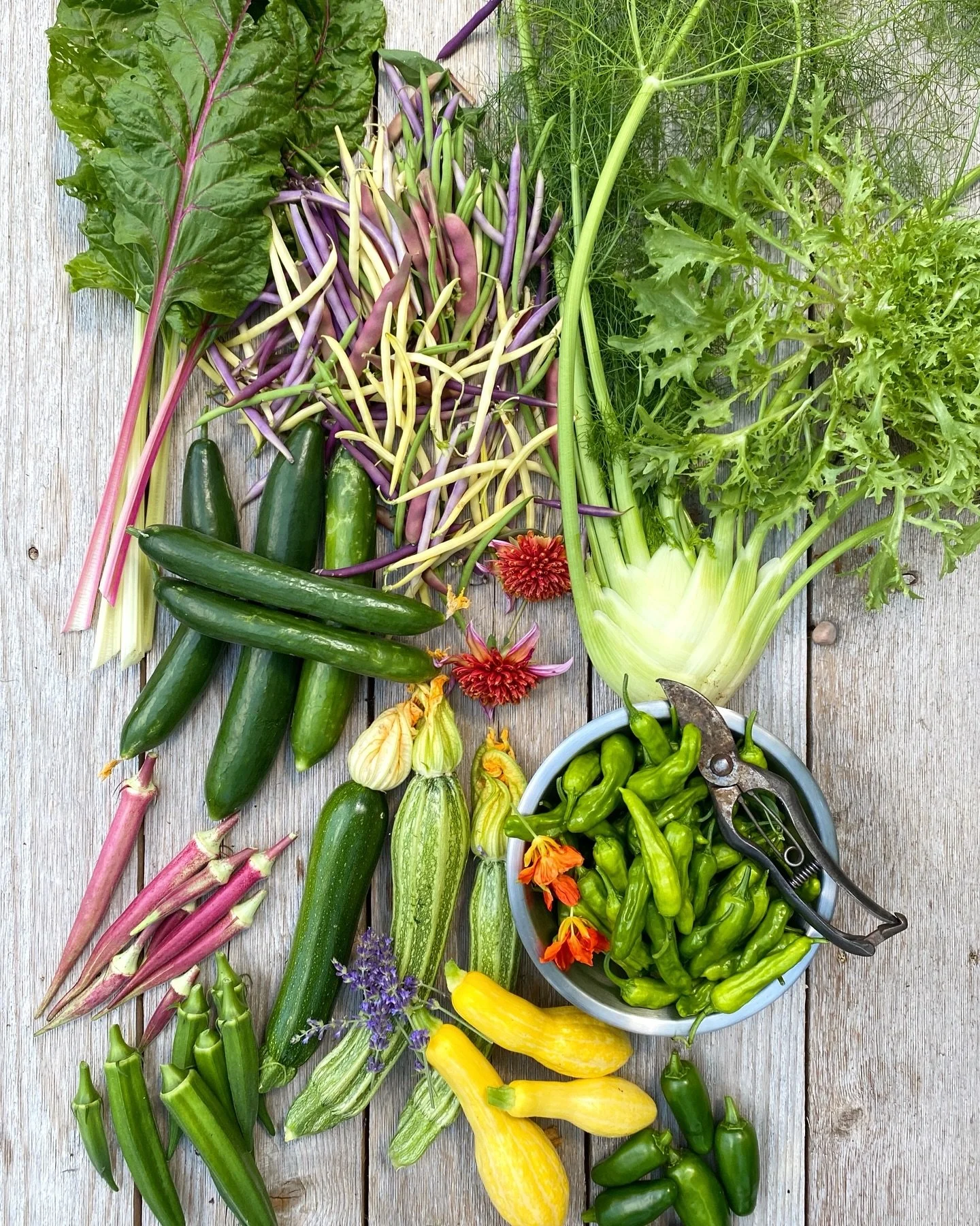 Something pretty for your Saturday. ✨ #vegetablegarden #gardeninspiration #gardenharvest #kitchengarden #culinarygarden #harvest #homegardening