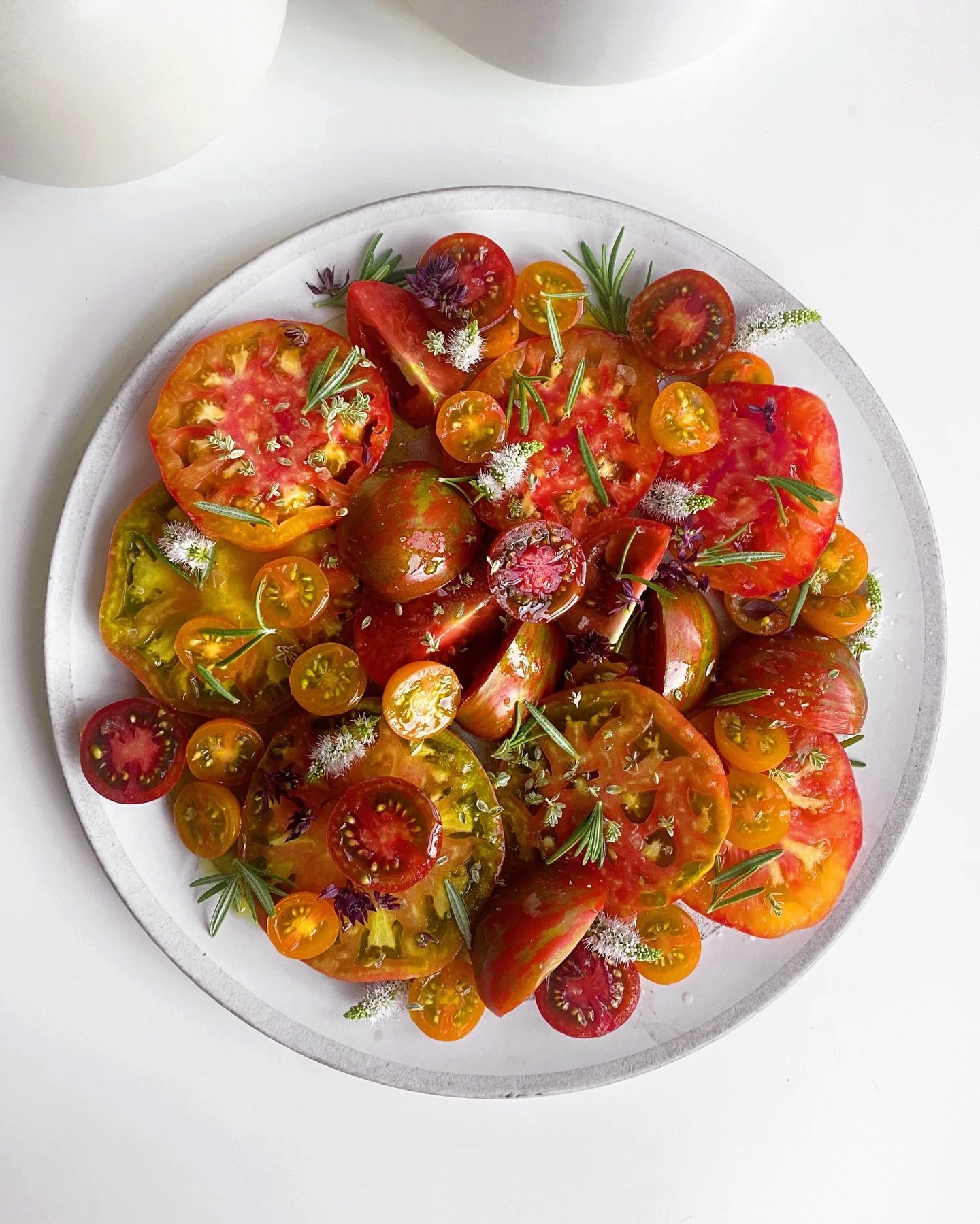 Yessss, only a few months away from these juicy beauties&hellip; 🍅 #vegetablegardening #tomatoes #gardentomatoes #tomatoseason #harvest