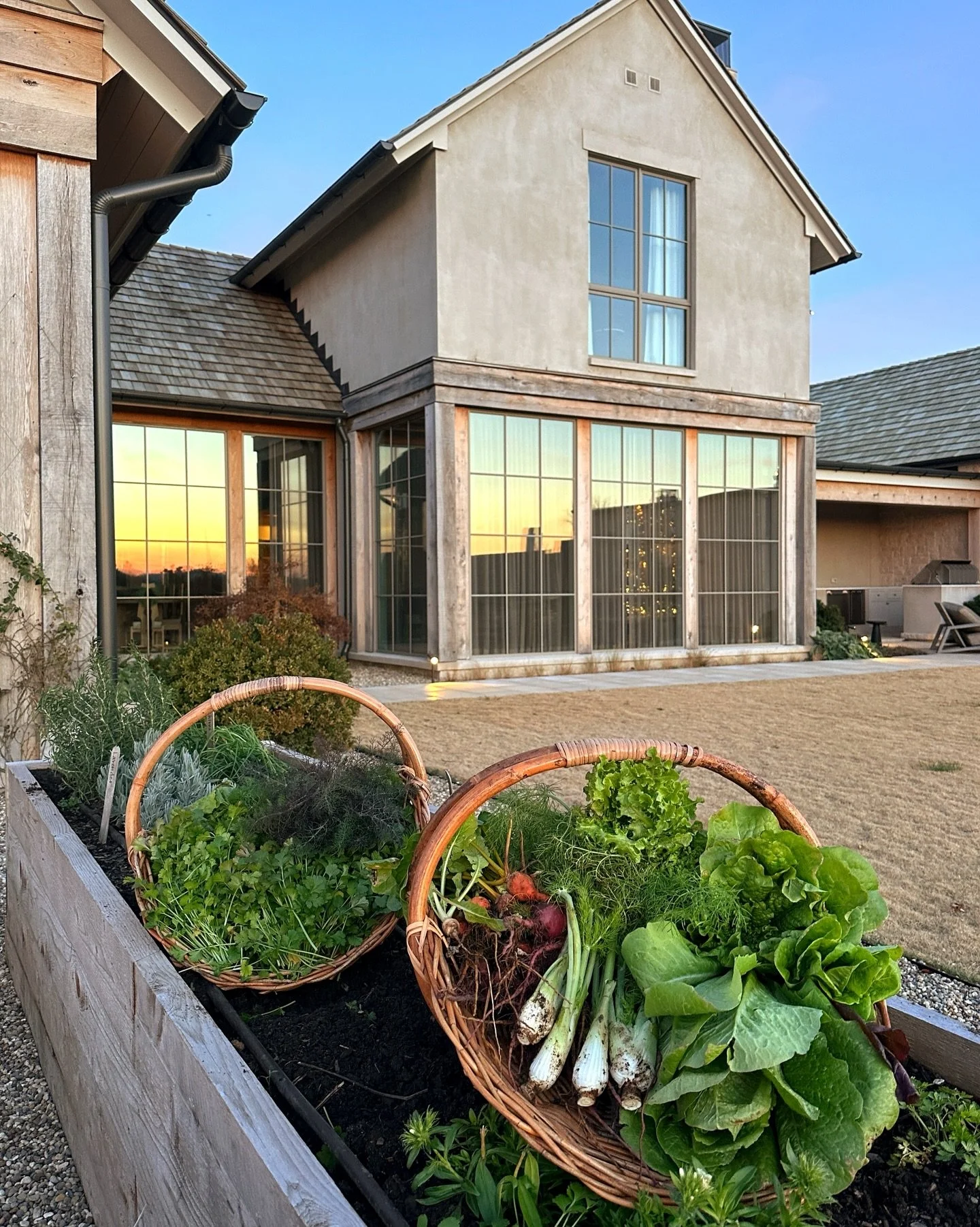 A winter harvest and a winter sunset in the winter garden&hellip; ✨#culinarygarden #gardendesign #gardeninspiration #wintergarden #gardenharvest