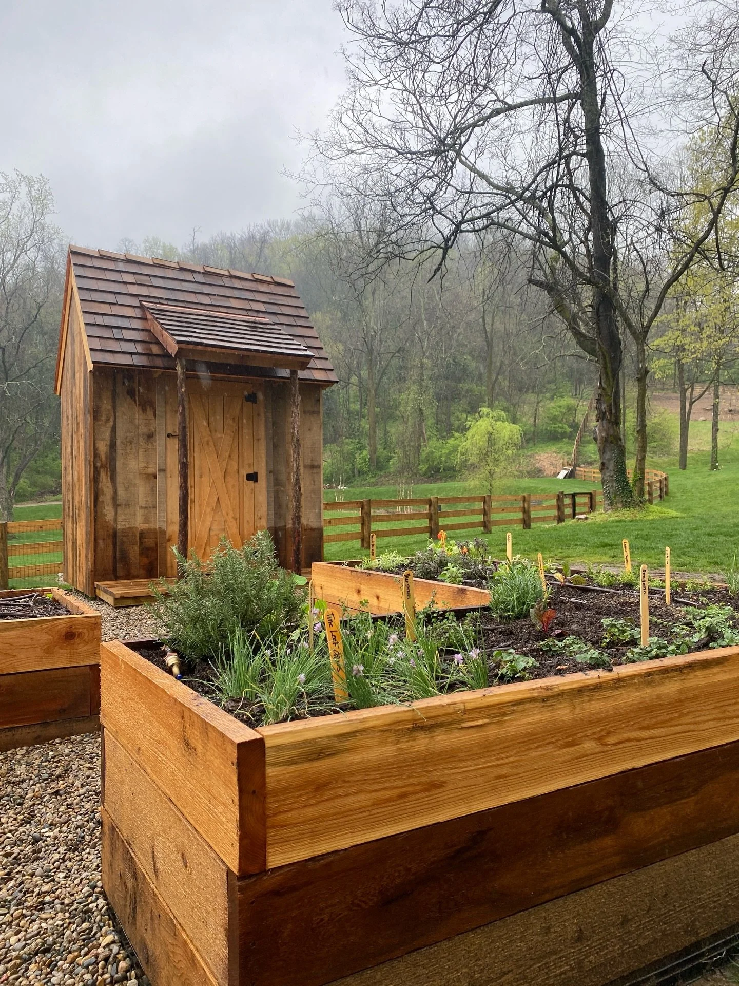 Already seeing my friends at local nurseries getting their cool weather crops in&hellip;broccoli, cabbages, spring onions, spinach, kale. It&rsquo;s not a lot, but after this winter, it definitely feels like something! Planting will be starting soooo