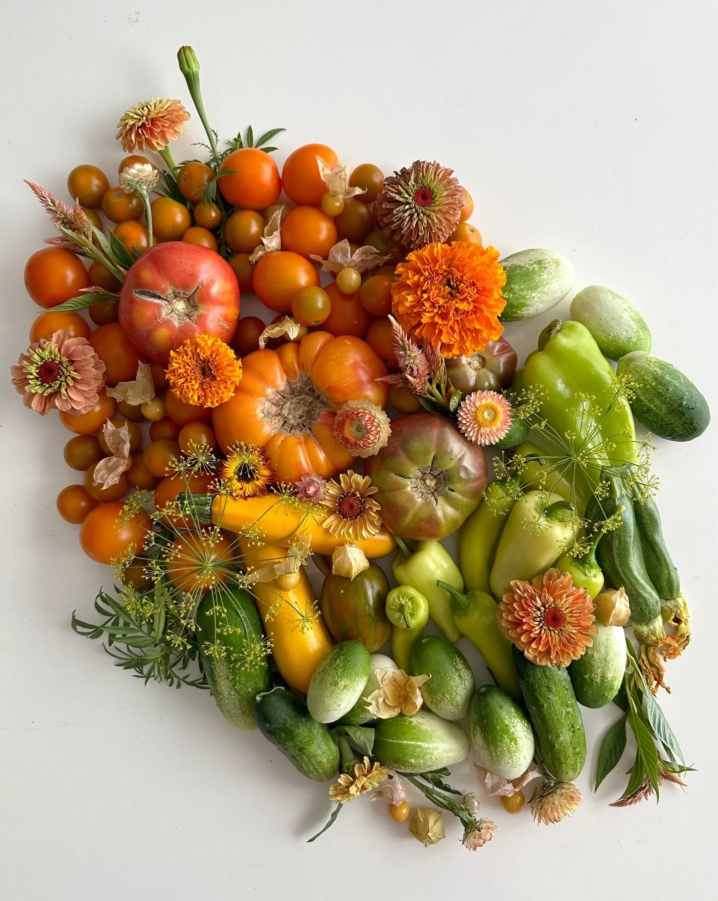 I cannot wait for the return of these little arrangements&hellip; I do this just for fun. It takes a bit of time to assemble, only to be immediately disassembled when I&rsquo;m finished taking the photos. But the former art student in me loves creati