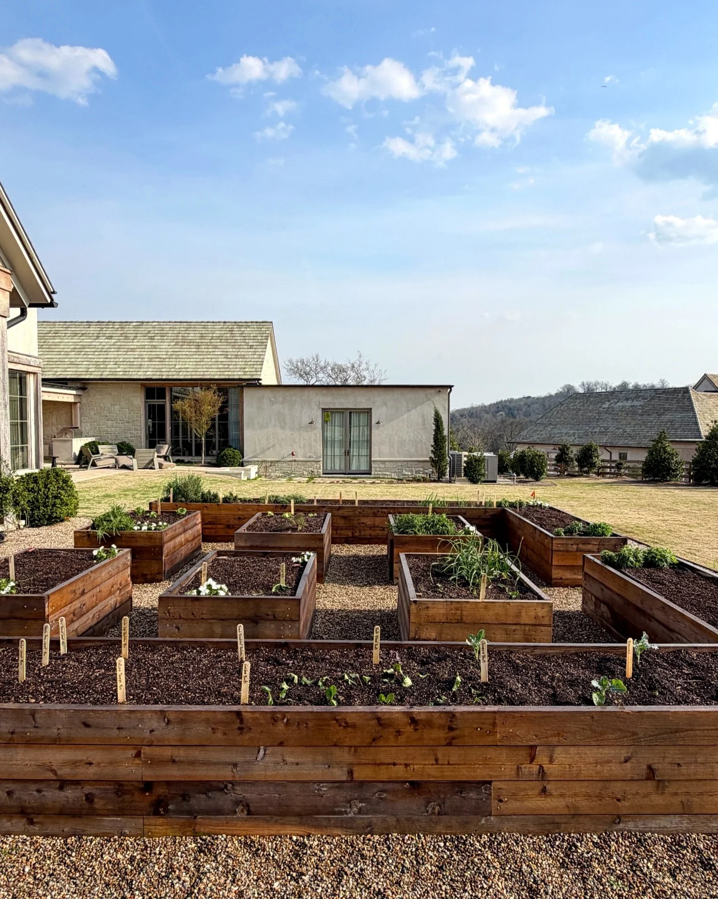 First planting done, many more to go. What did I plant today? So many things! French breakfast radishes, hakurei turnips, fennel, spinach, butterhead and red and green leaf lettuces, orange, purple and yellow carrots, broccoli, cilantro, dill, parsle