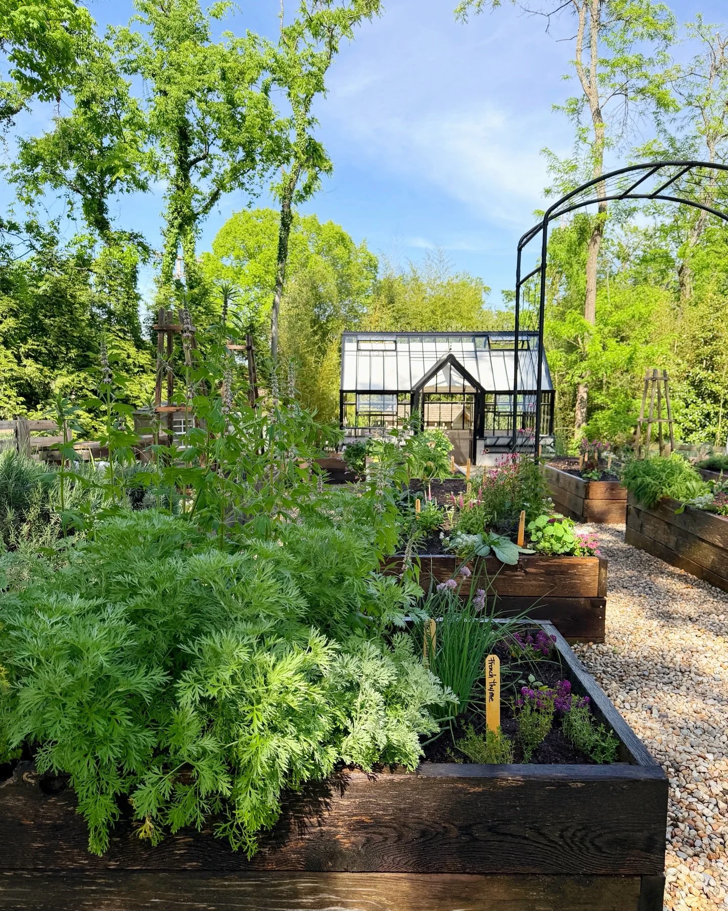 What a difference one month makes! First photo was snapped today, the second was taken on March 27th. ✨ Greenhouse: @hartley_botanic | Arched Trellis: @agriframes #culinarygarden #gardeninspiration #raisedbedgarden #gardendesign #vegetablegarden
