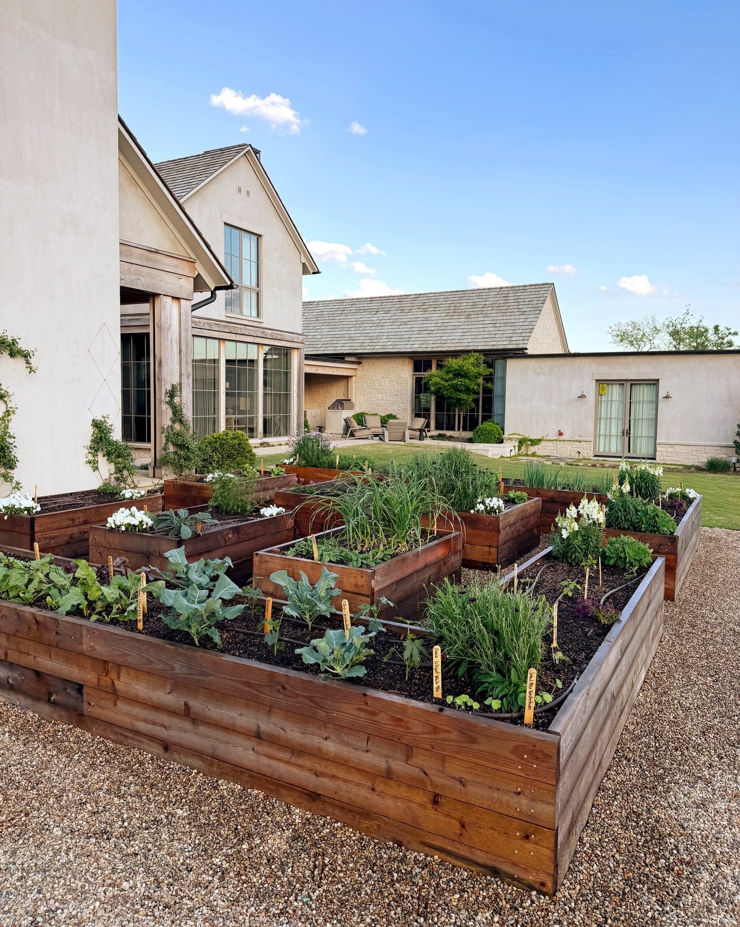 Spring vegetables are in full swing here but we&rsquo;re days away from installing beautiful trellises and tomatoes which will really give this space height - can&rsquo;t wait to share photos of this transformation soon! #gardendesign #gardeninspirat