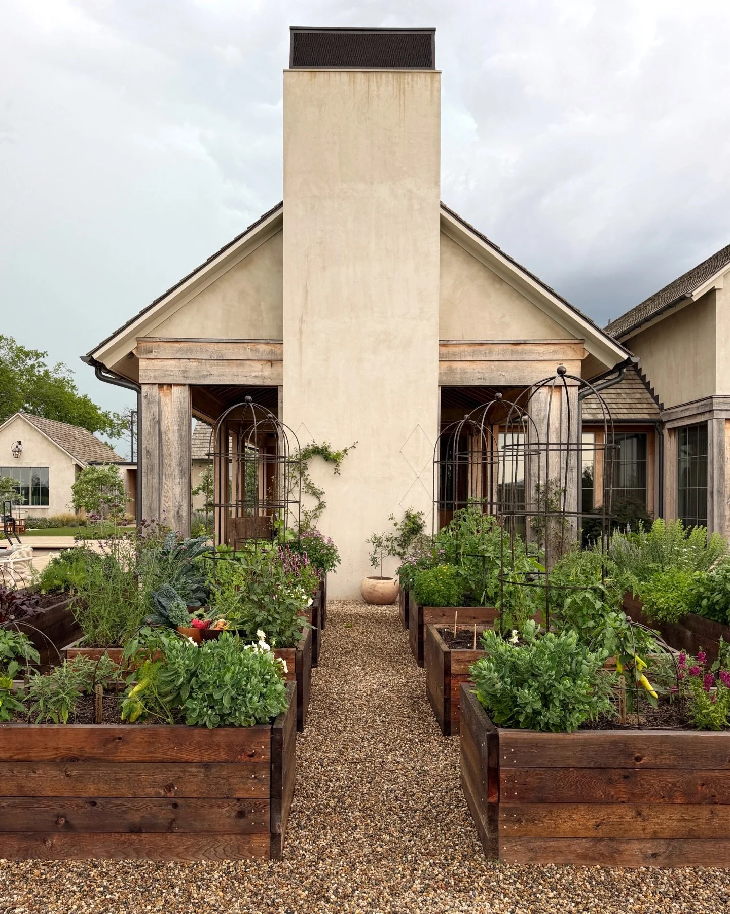 This was the last stop at the end of my work day yesterday and the darkest grey storm cloud was hovering over the garden. I thought the light in the garden was perfection! We pulled garlic, beets and kale and bound up some oregano flowers with twine 