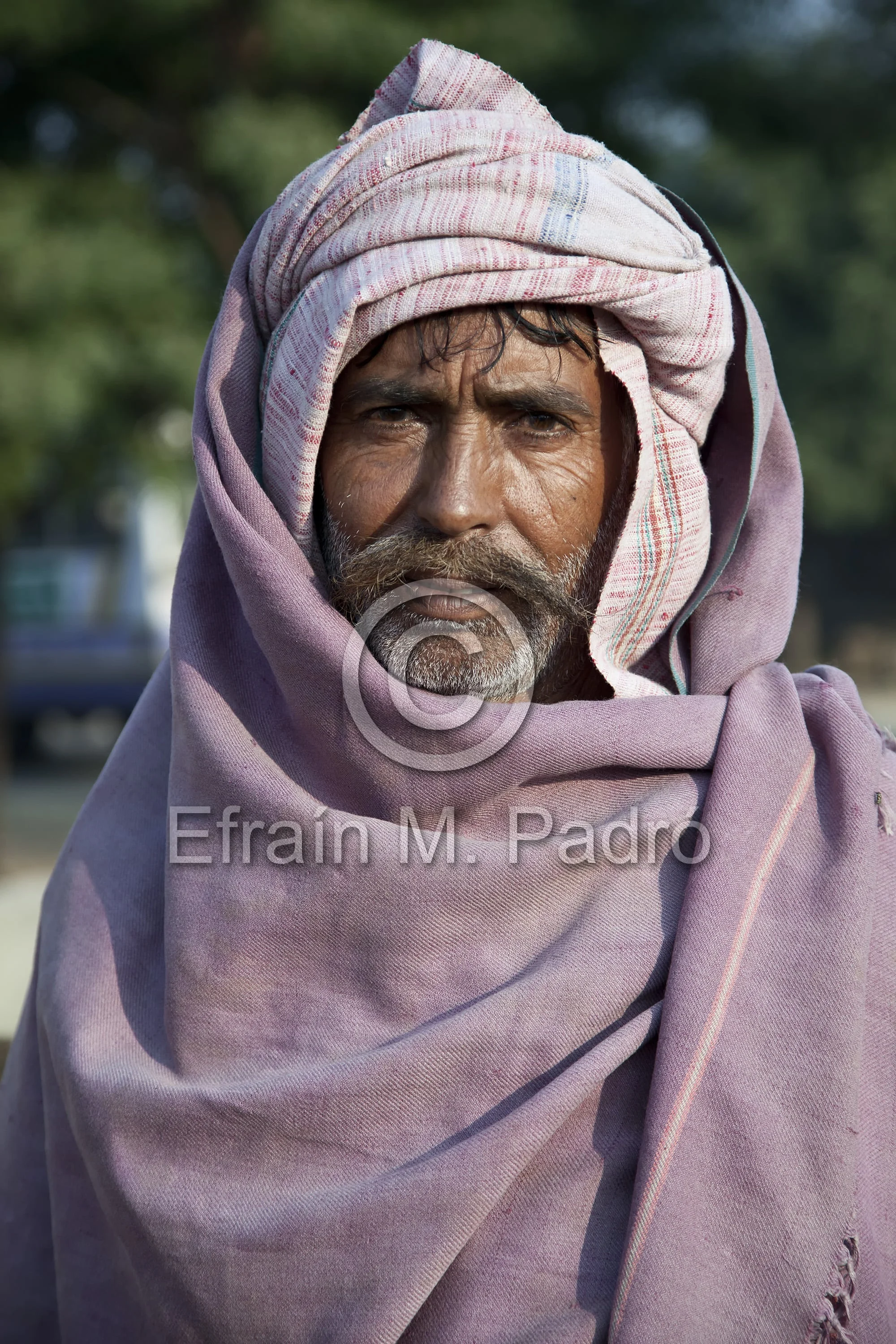 Camel driver, Samode, Rajasthan, India