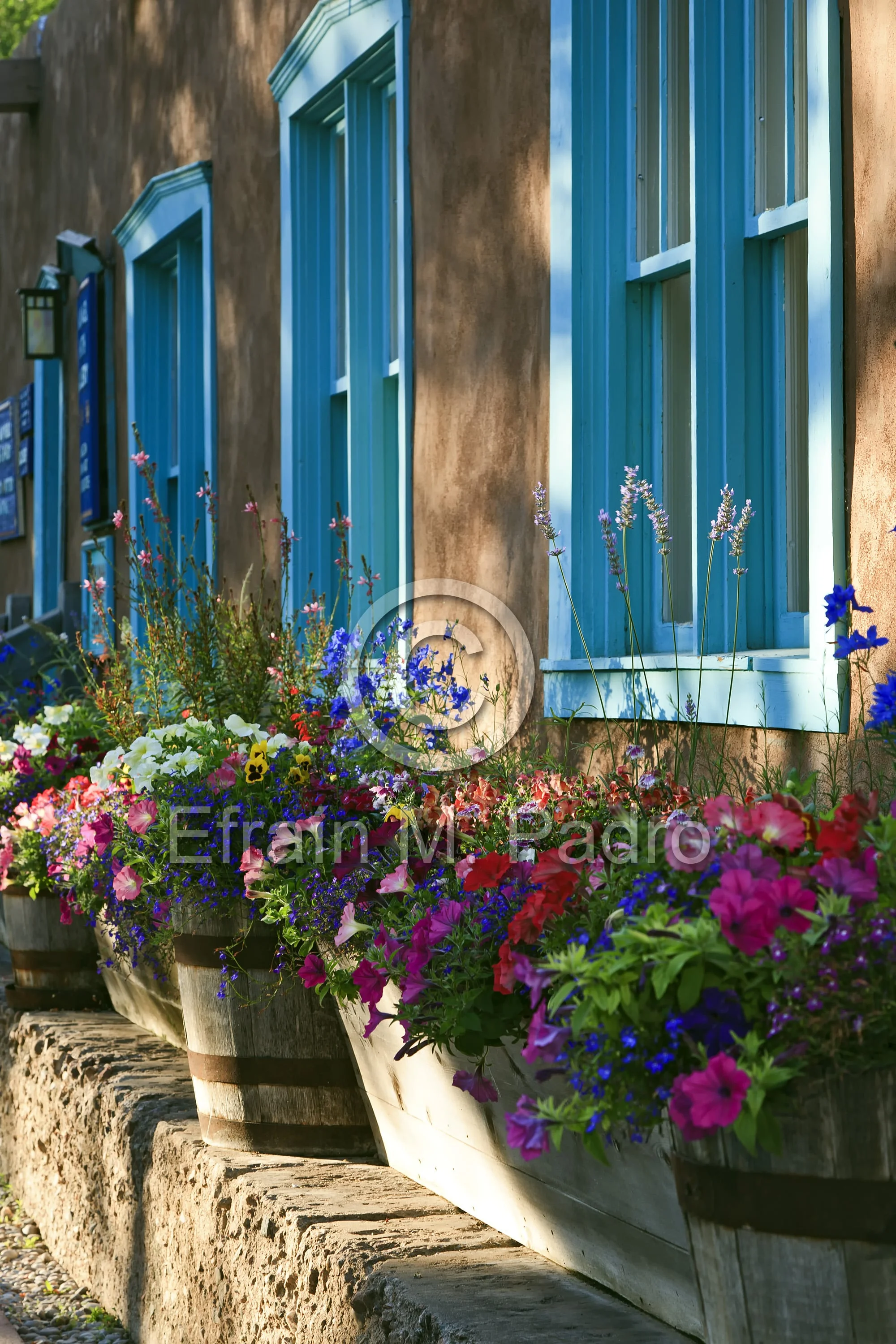 Turquoise windows and colorful flowers, Canyon Road, Santa Fe, New Mexico